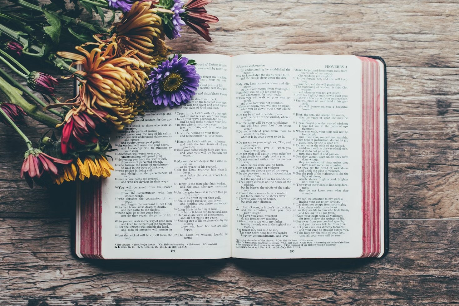 Liturgy: Commitment of old Bibles to the earth (or recycling)