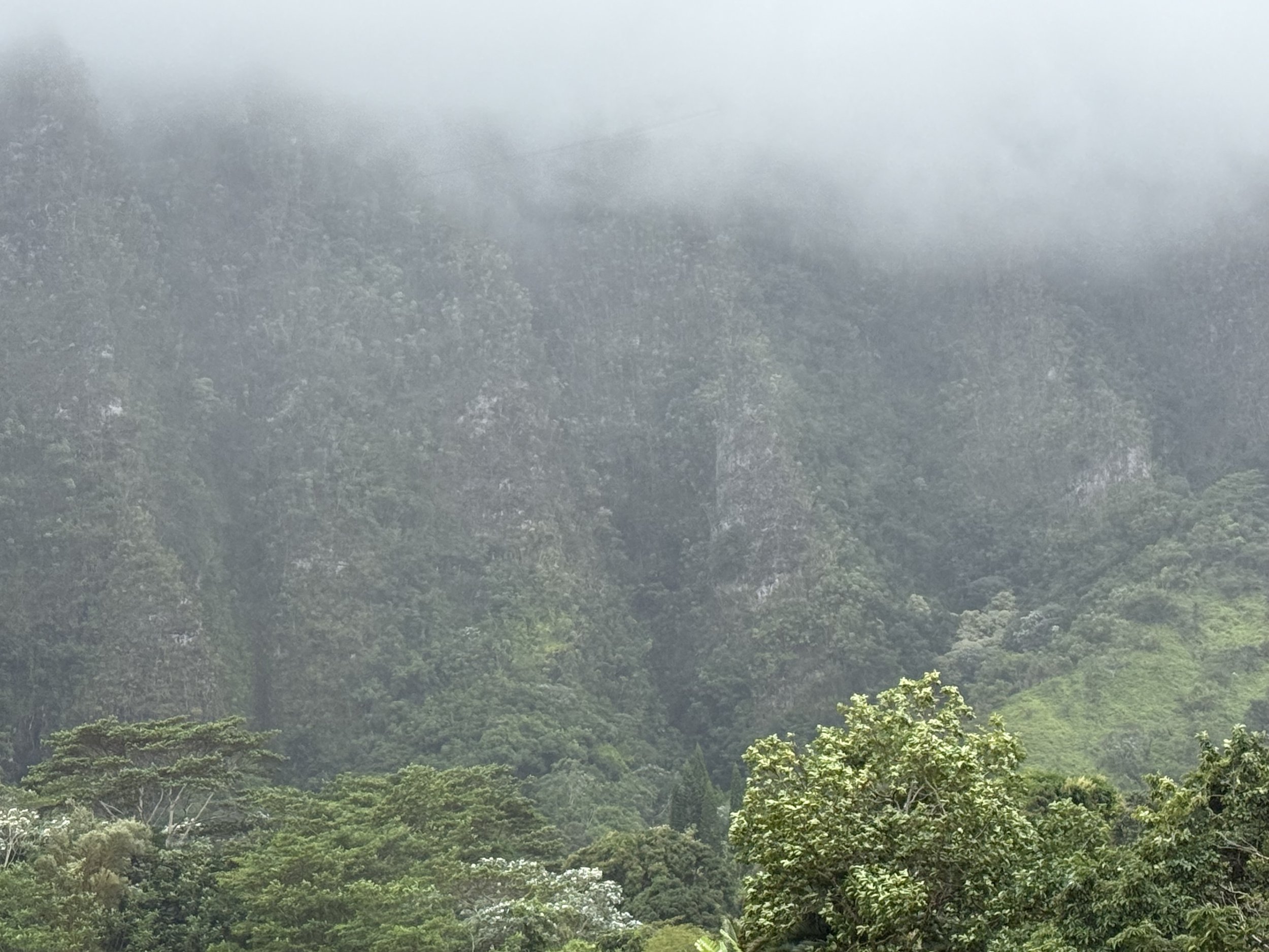 Getting up when the world feels heavy