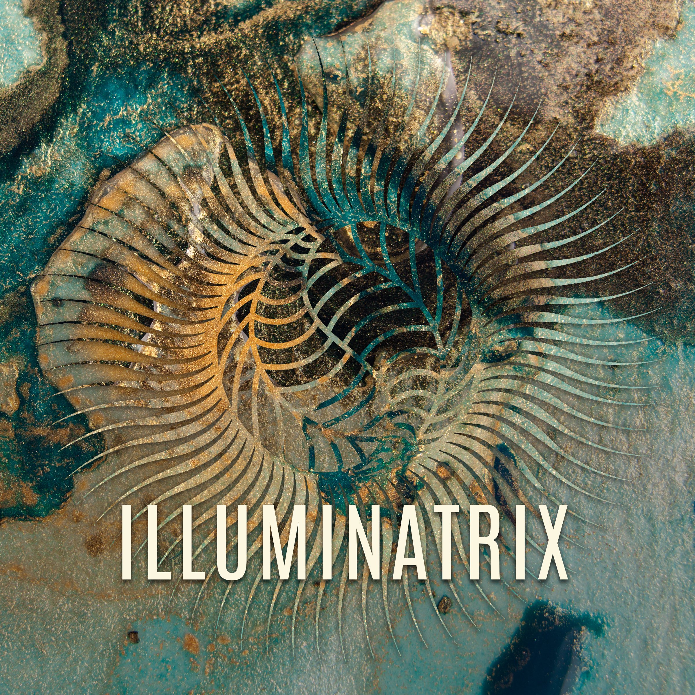 Abstract artwork featuring a spiral formation of metallic, leaf-like shapes with a textured, earthy background. The word 'ILLUMINATRIX' is written across the bottom in bold, white uppercase letters.
