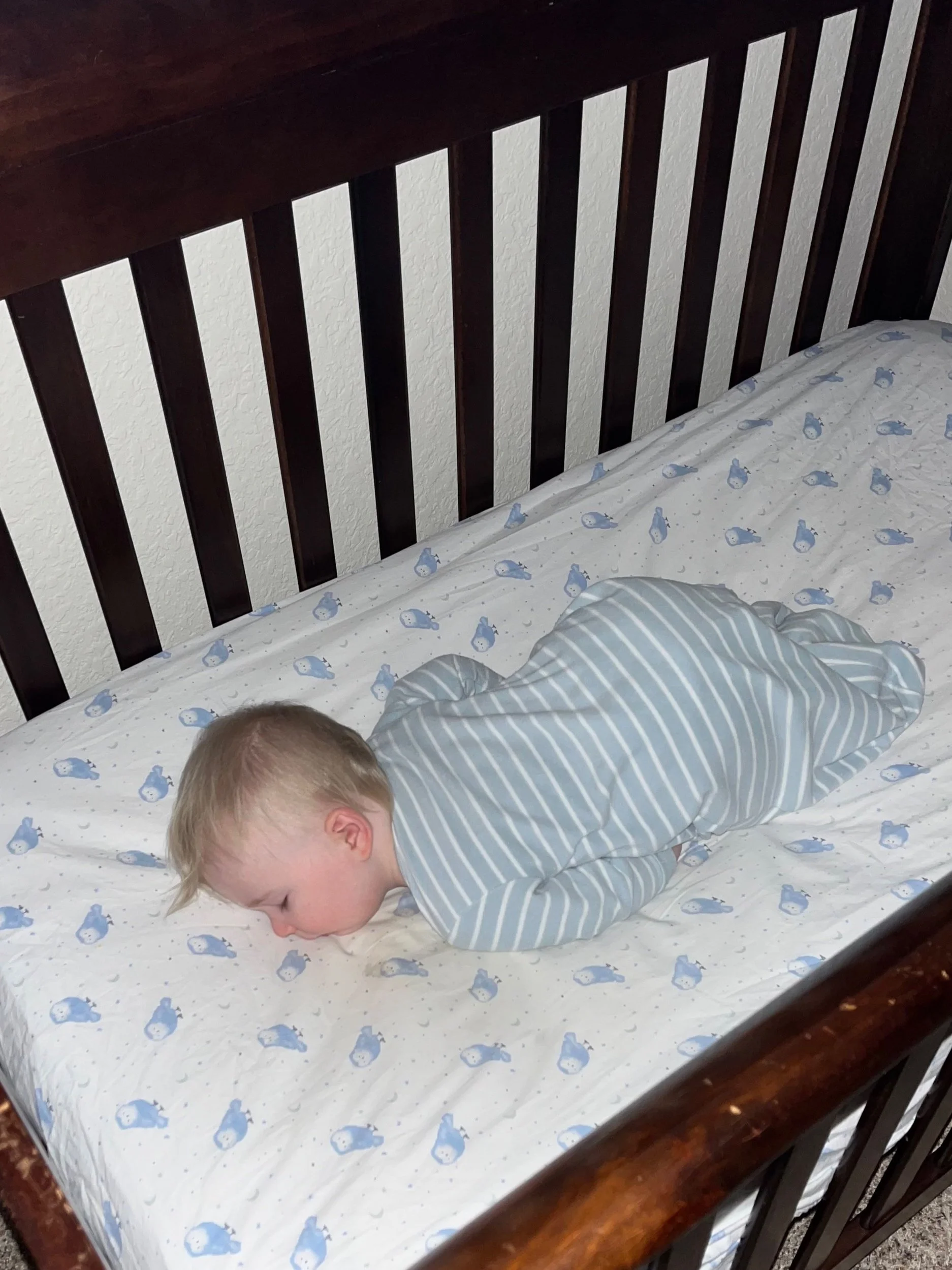 11 month old nap schedule