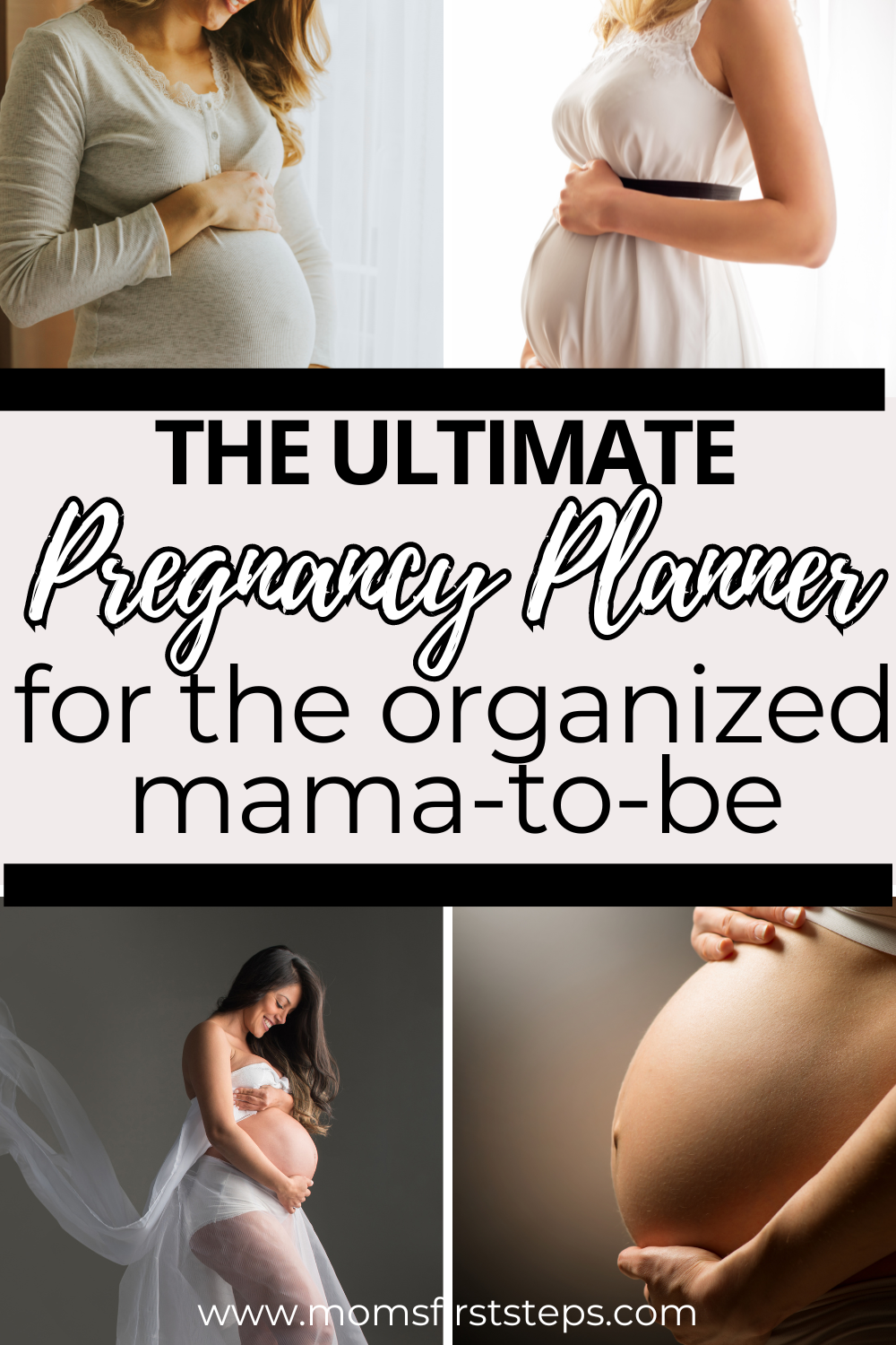 What Makes The Ultimate Pregnancy Planner?
