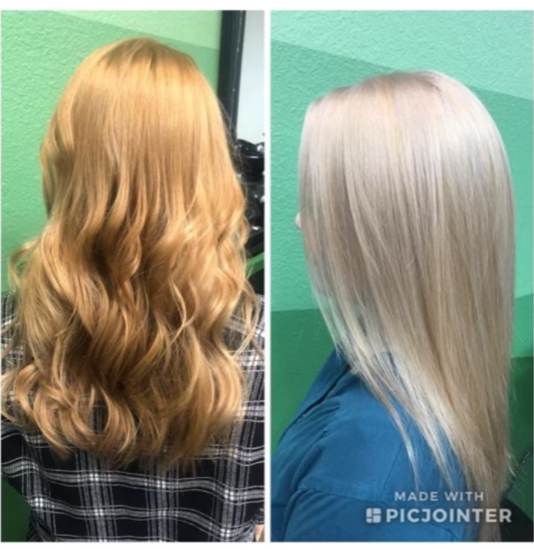 portfolio photos 5.PNG