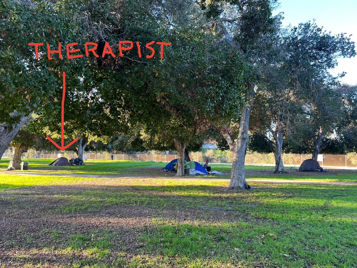 would_be_therapist.jpeg