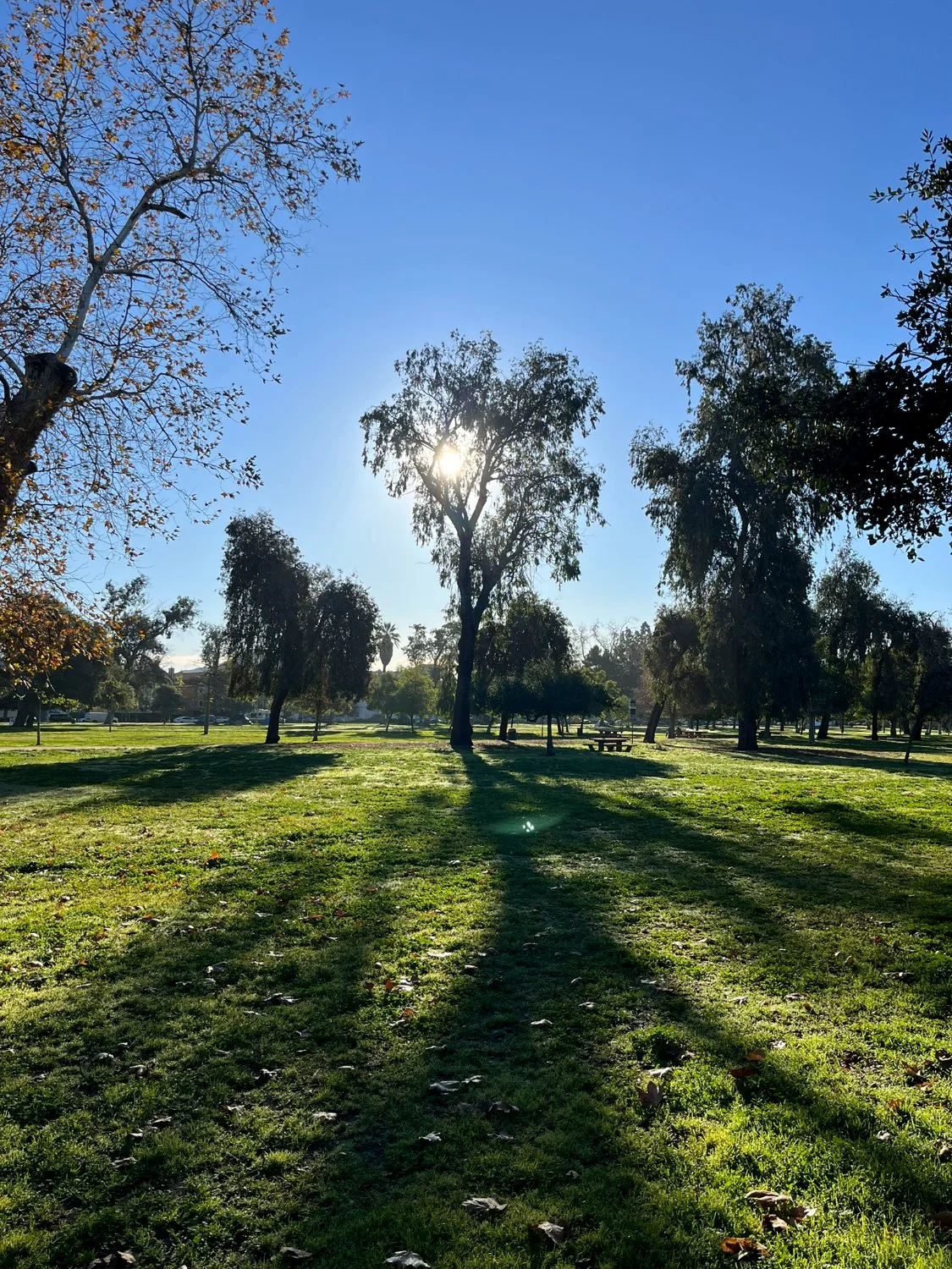 IMG_0030.JPEG