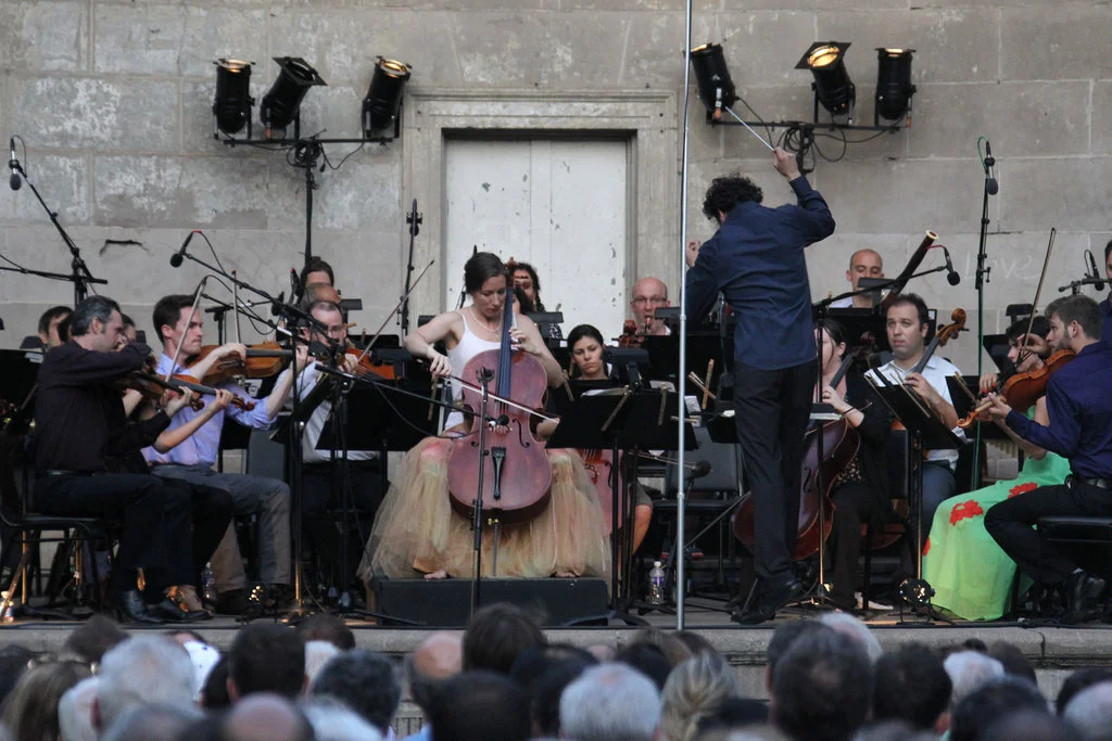 Planes, Buses, Fumes, Brakes, Gnats and Melody