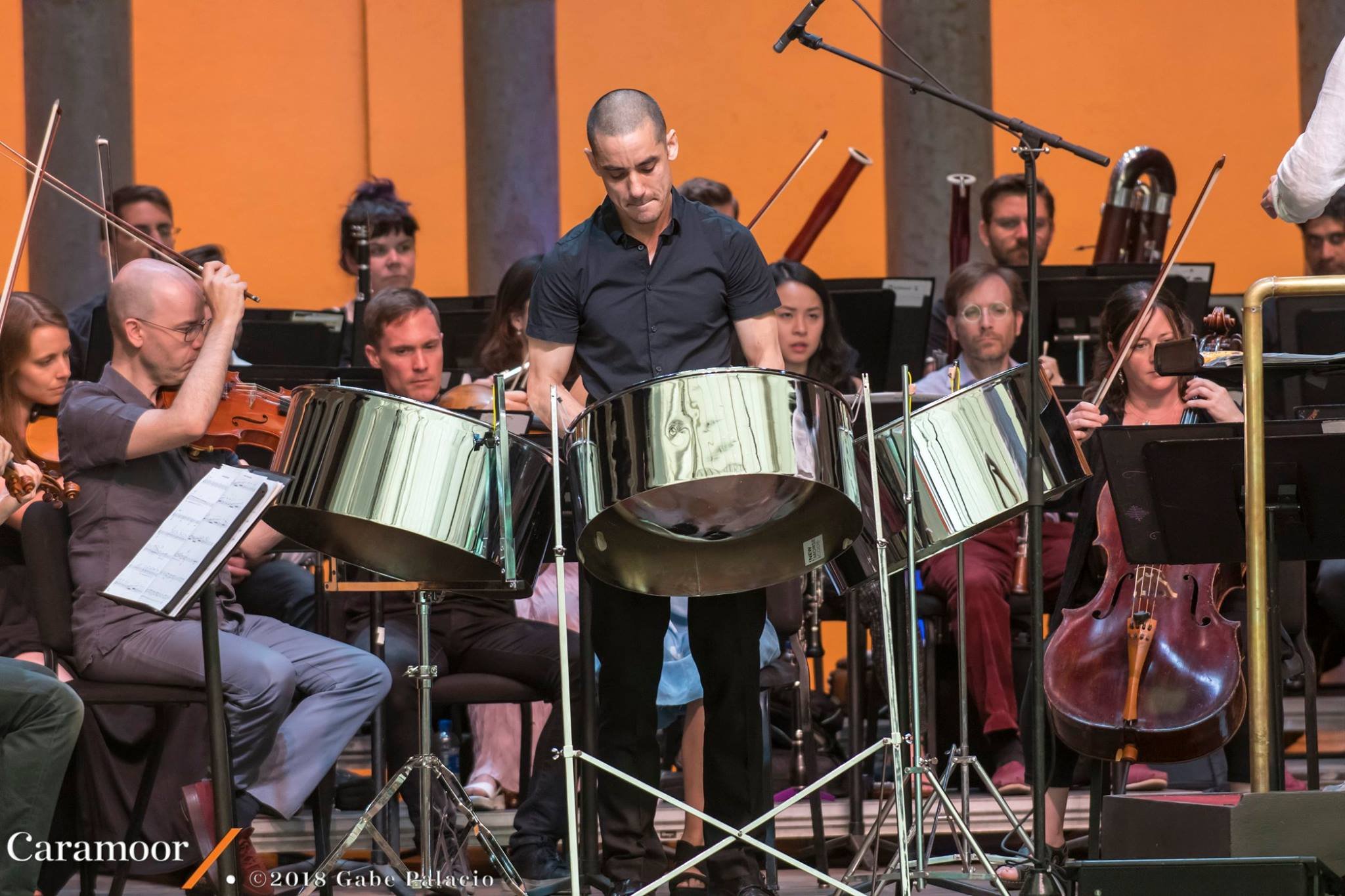 Percussionist Andy Akiho with The Knights 