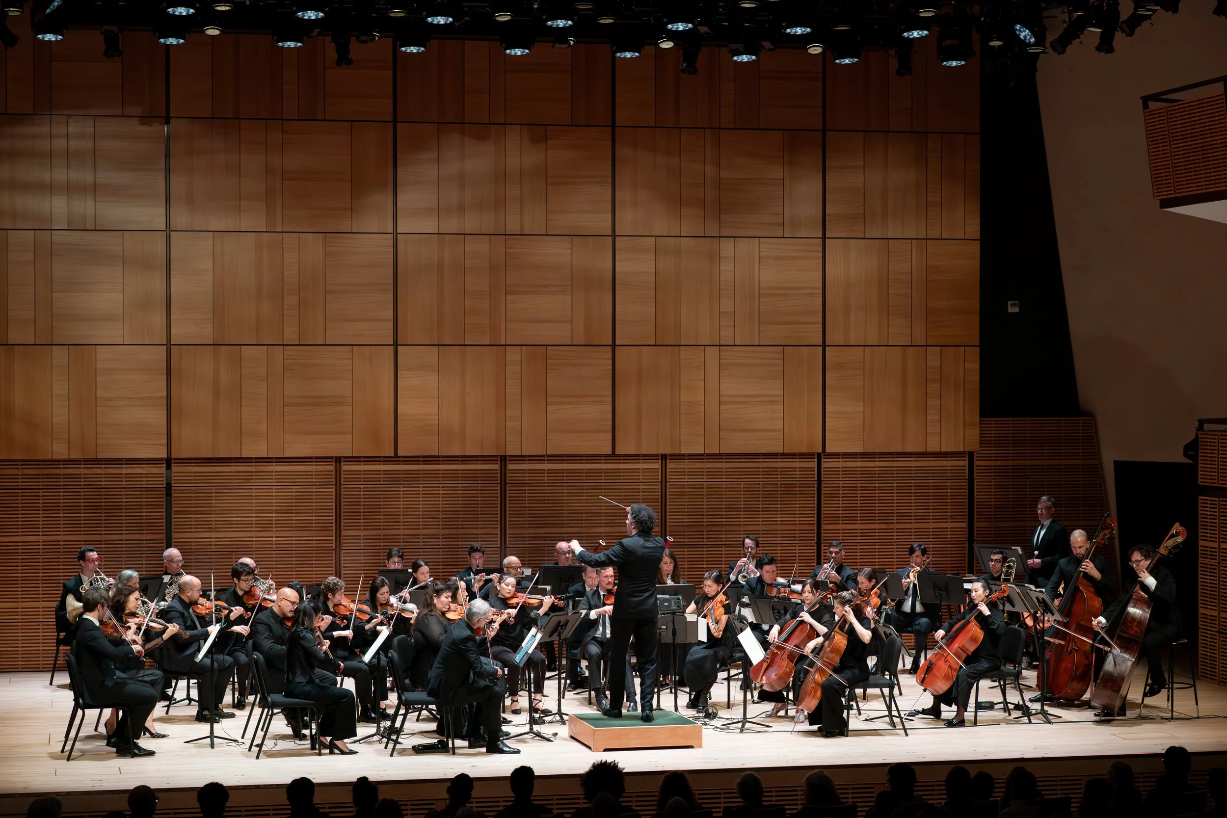 The Knights at Carnegie Hall