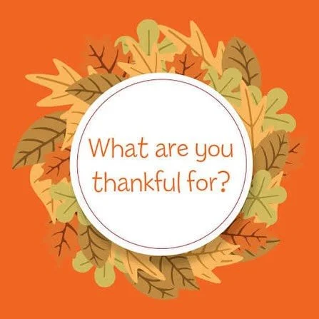 🍂✨ As we embrace this season of gratitude, we want to hear from you! What are you thankful for this year? Whether it&rsquo;s big or small, your thoughts matter. Share your blessings in the comments below! 💬❤️ #ThankfulSeason #Gratitude #livelanelof