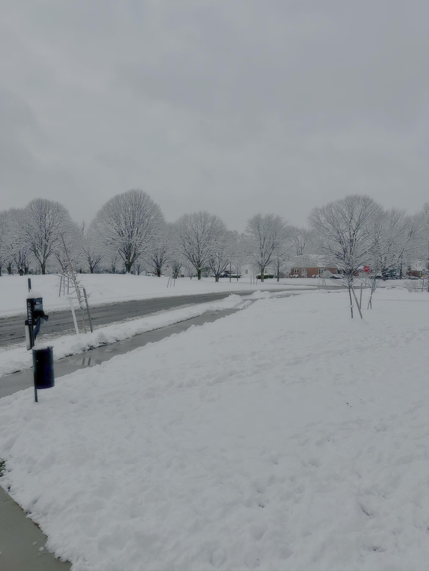 🌨️❄️ Huge shoutout to our amazing partners for their swift action in getting our garage and walking paths salted and cleared this snowy morning! Your hard work keeps us safe and moving smoothly. Thank you for always going above and beyond! 🙌🚶&zwj;