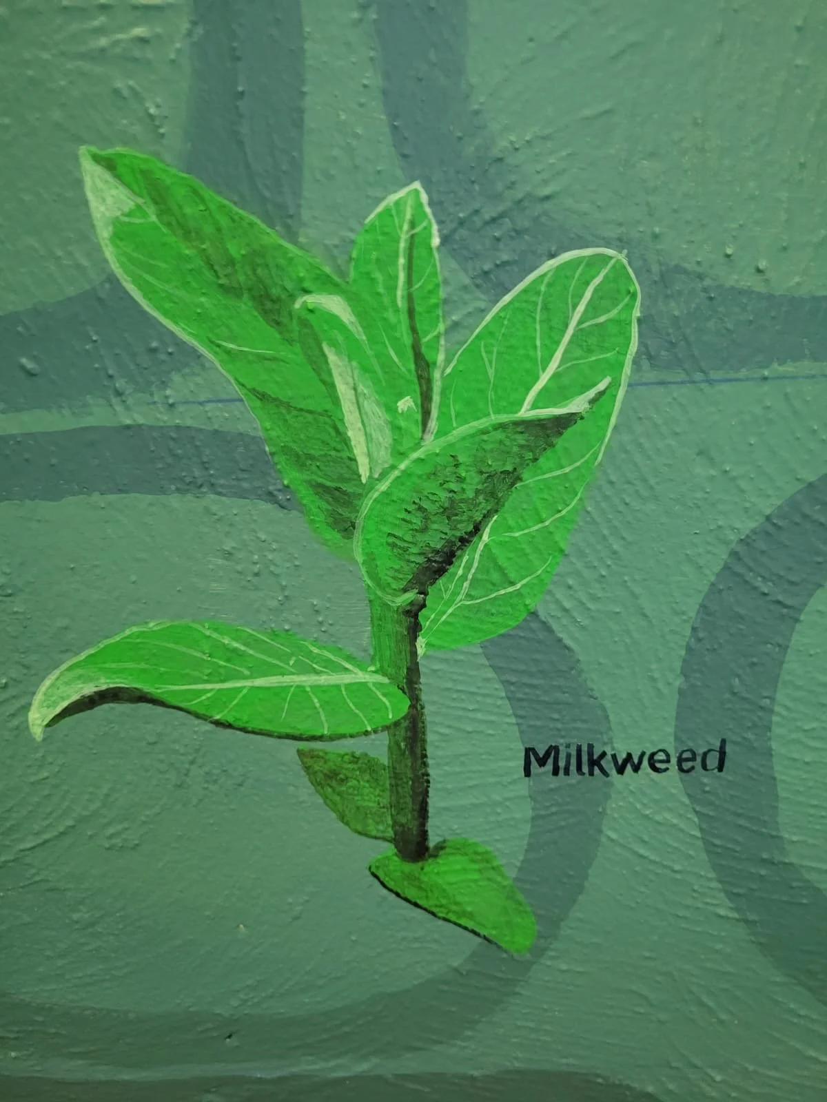 ec5fd1f8-f879-4f5f-88ad-0a10bb04934c 2.JPG