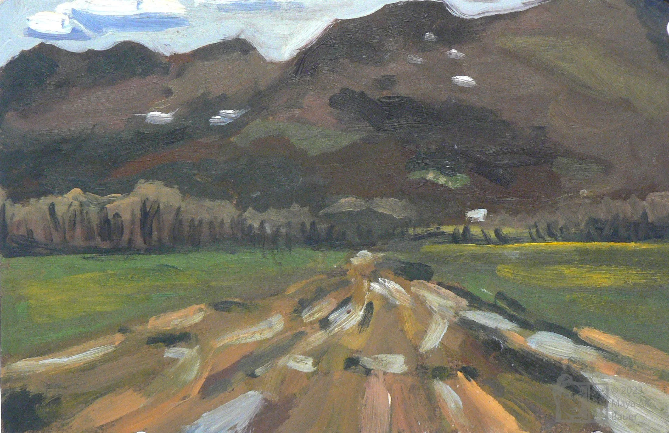 lanscape3WM.jpg