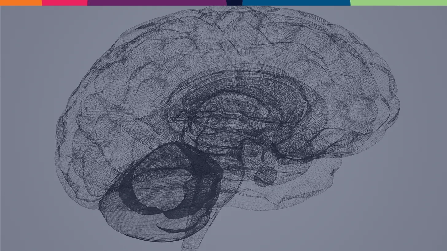 What a Learning Brain Actually Needs