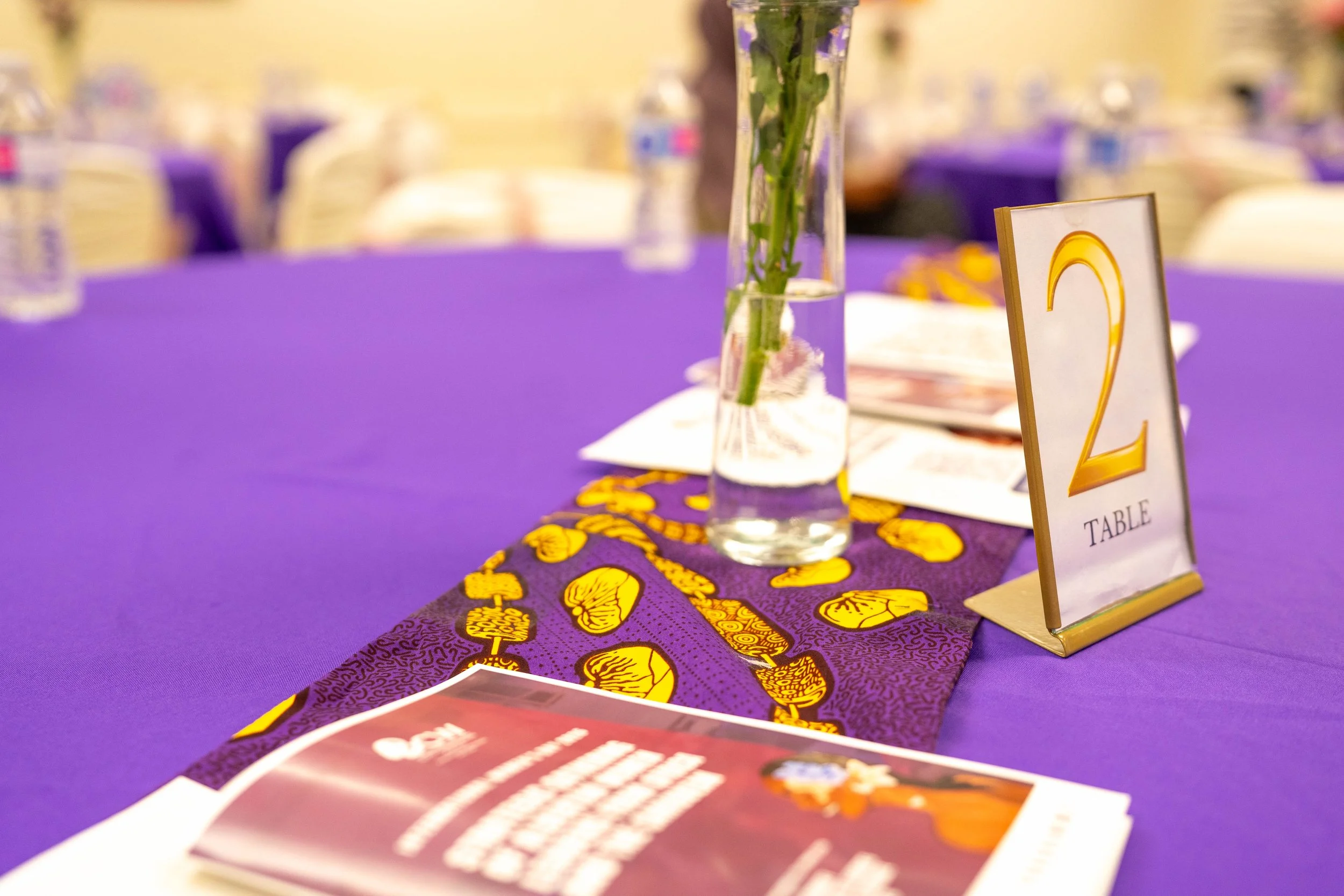 Copy of 2026 IWD5.jpg