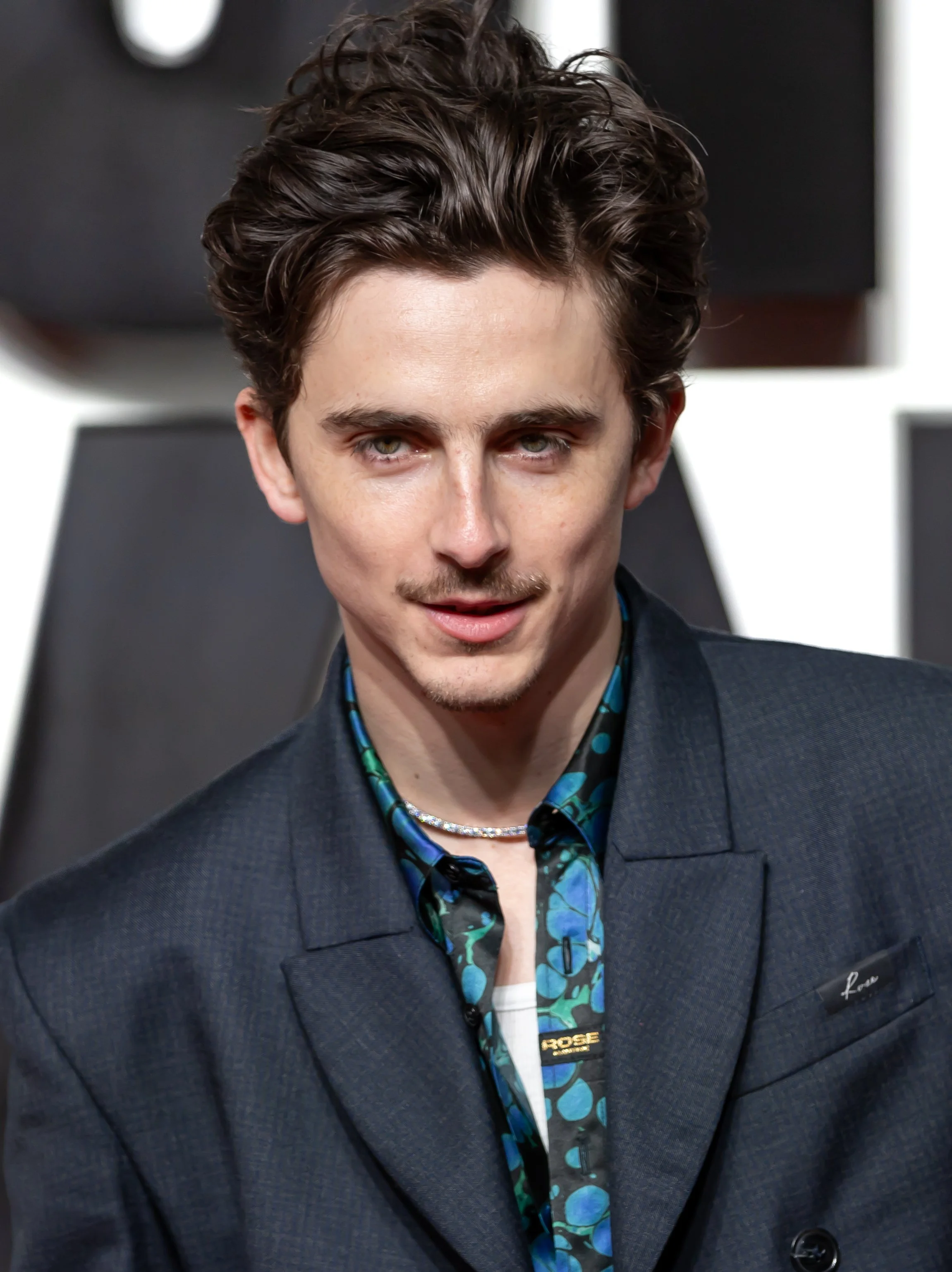 Timothée Chalamet: The Journey of a Soul Called to Give Form to Feeling.
