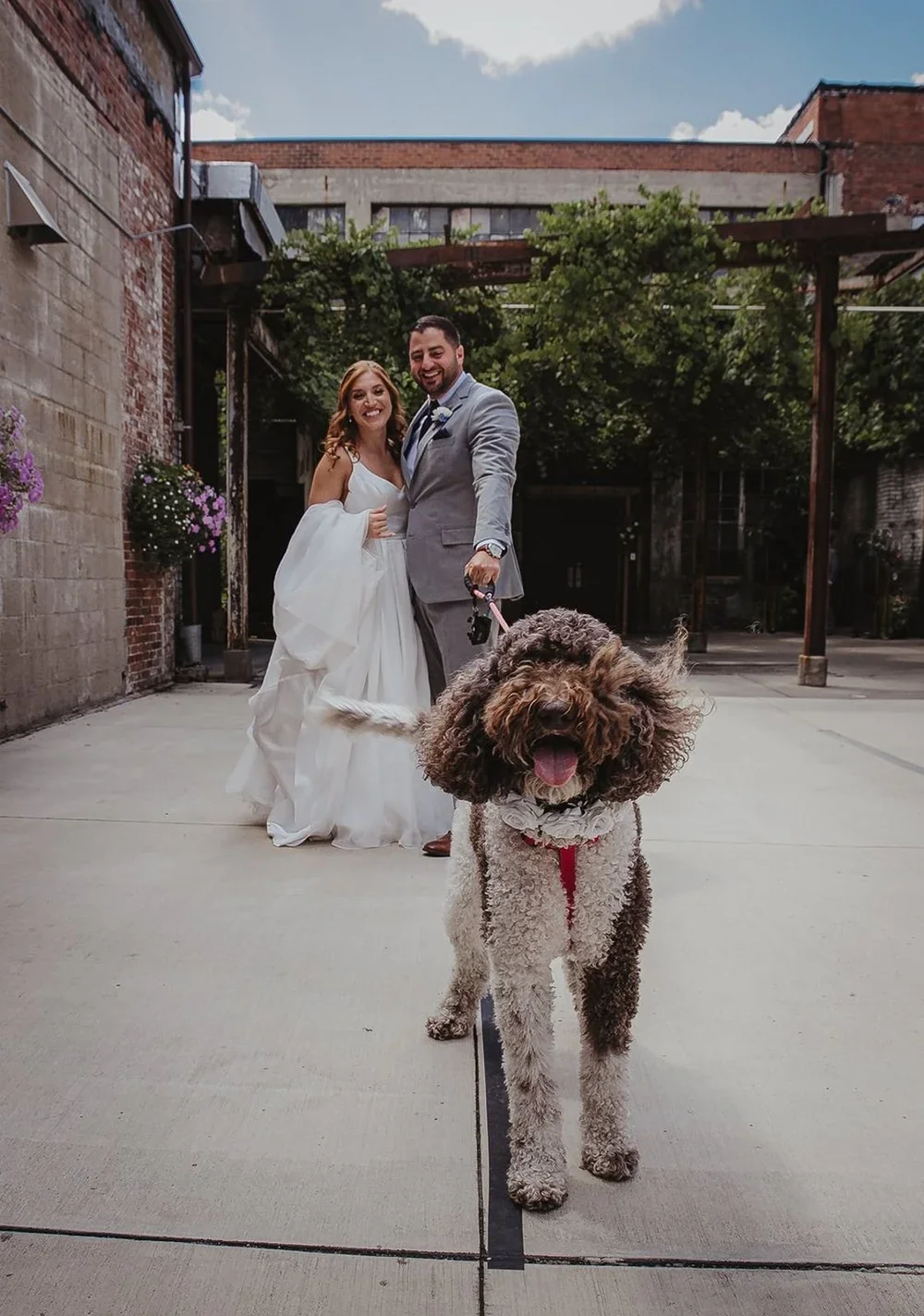 dog_closeup_bride_and_groom.webp