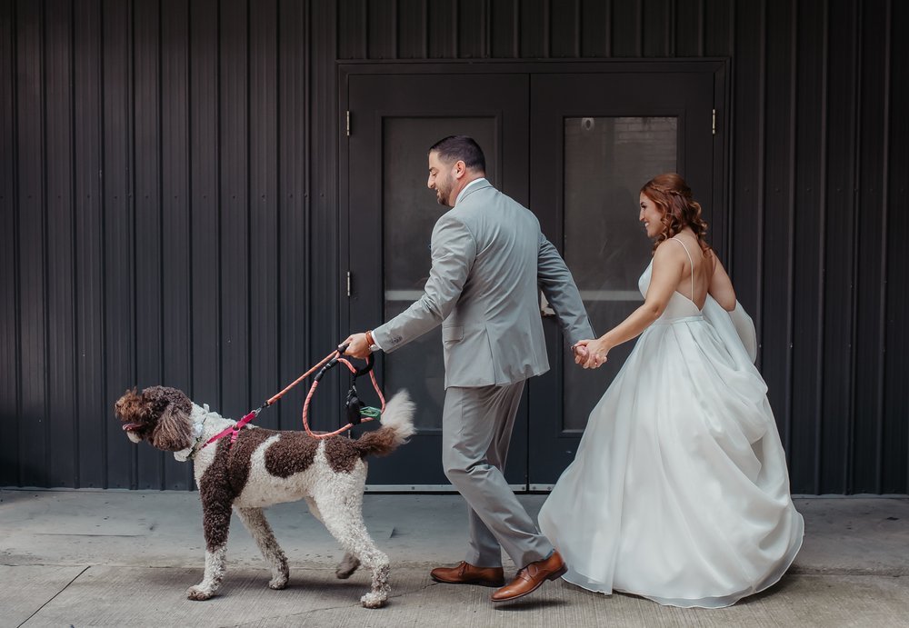 Bride and groom walk with their dog