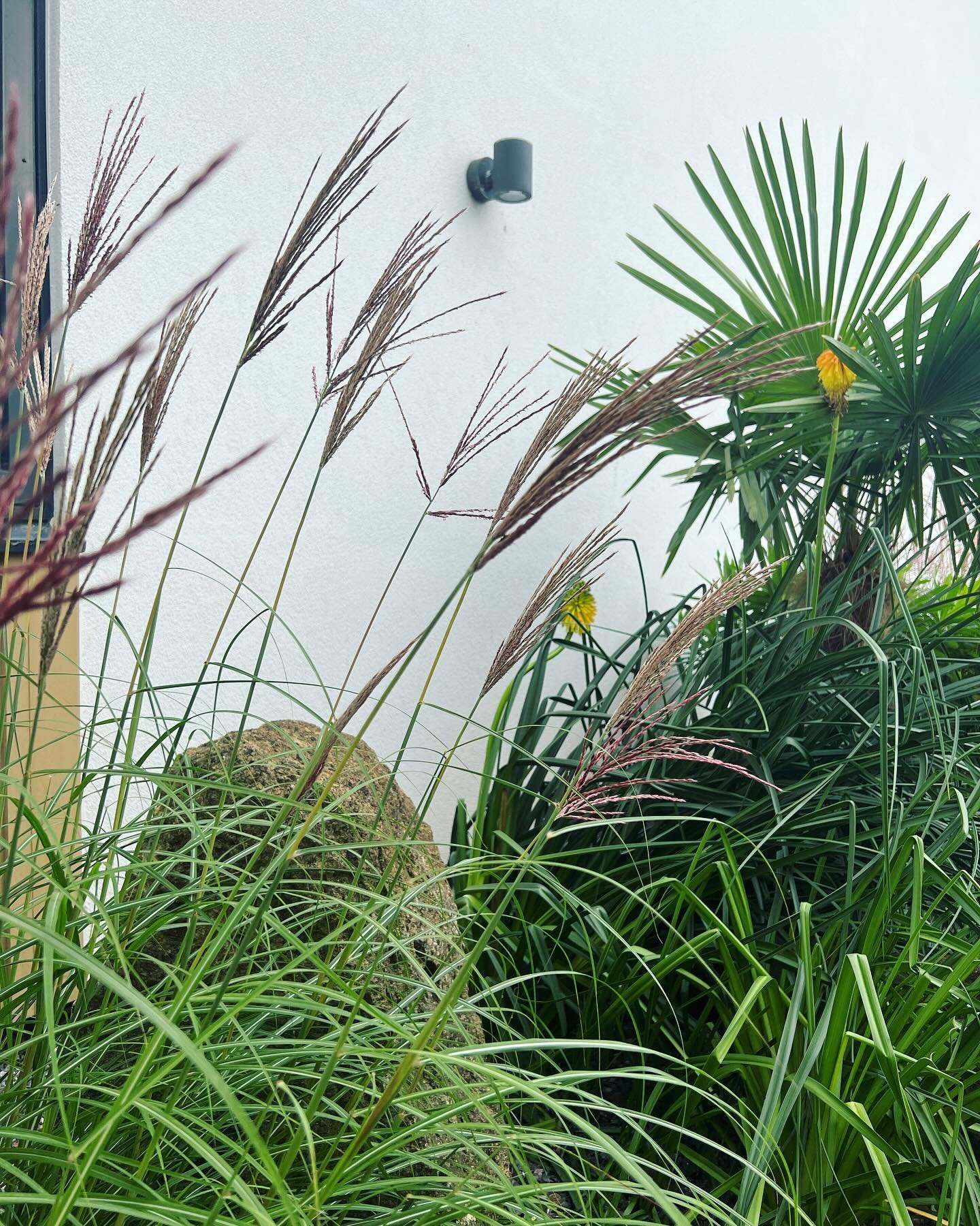 Rocks and boulders are a great addition when used within planting, adding interest and contrast in the summer months and structure in the winter months. In this case it was more efficient to use these large rocks than have them removed offsite!