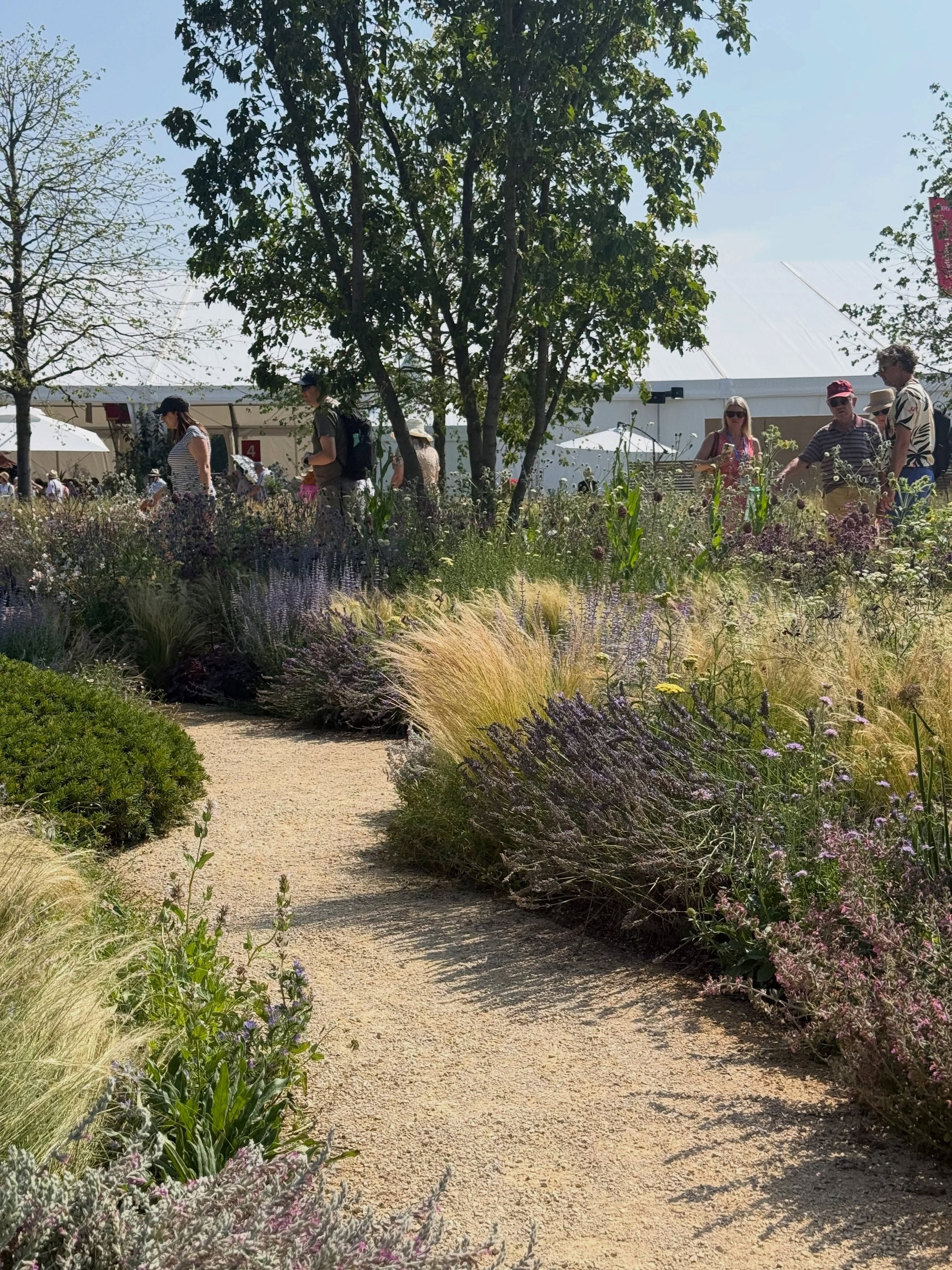 A great (and hot) day at the @the_rhs  Badminton Flower Show last week.

Lots of brilliant gardens, inspiring planting, and plenty of ideas to take away. It was especially nice to have such a fantastic event so close to home this year.

RHSBadminton 