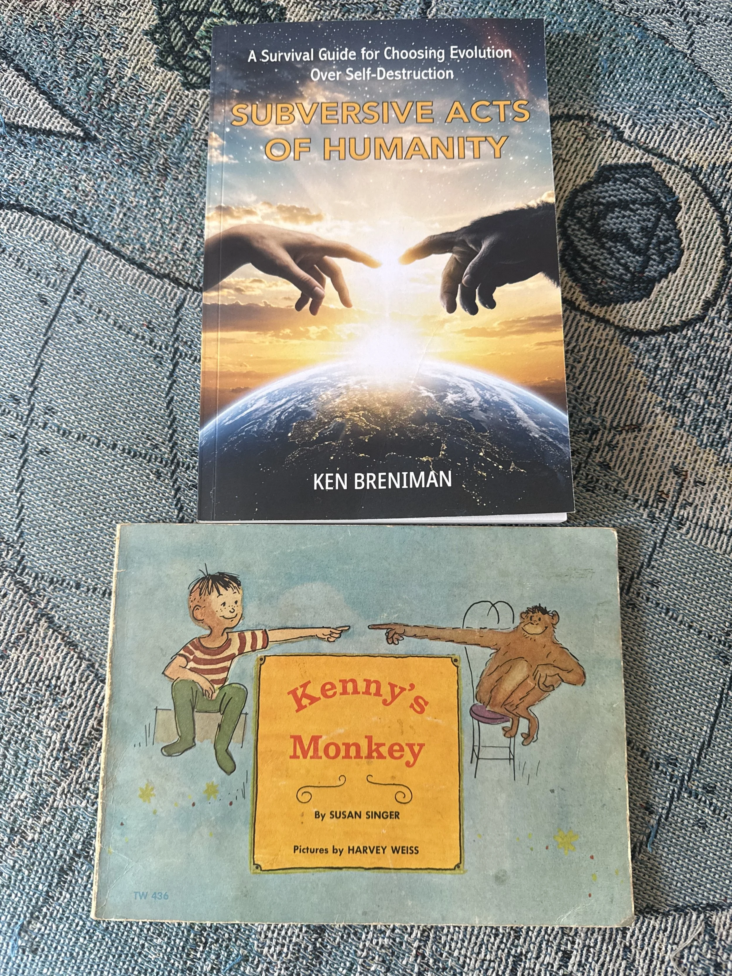 A book titled "Subversive Acts of Humanity" with a cover image of two hands reaching towards each other above Earth from space, with the sunset in the background. The second item is a children's book titled "Kenny's Monkey" featuring an illustration of a boy and a monkey pointing at each other.