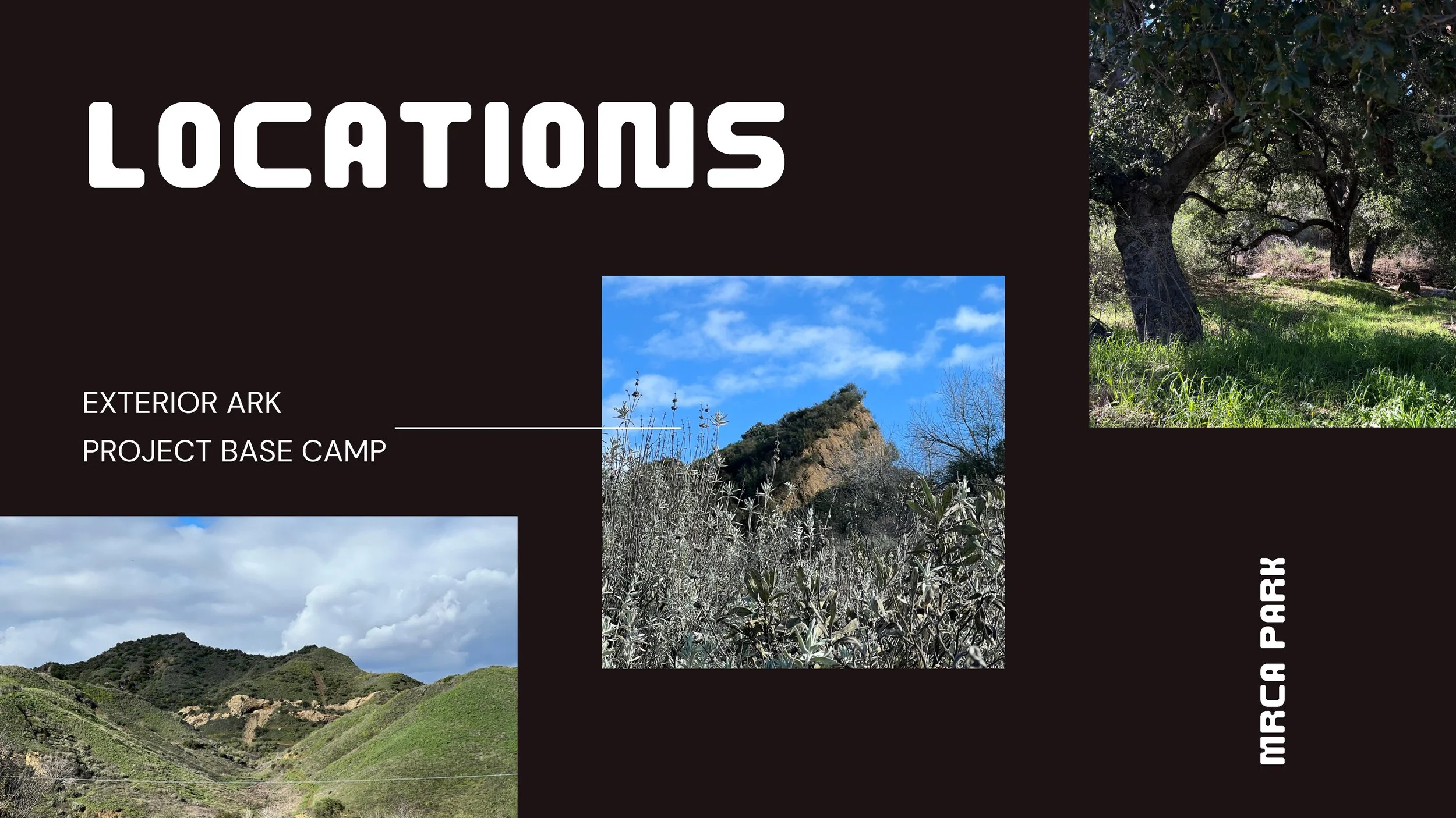 Copy of Natural Selection_Page_07.jpg