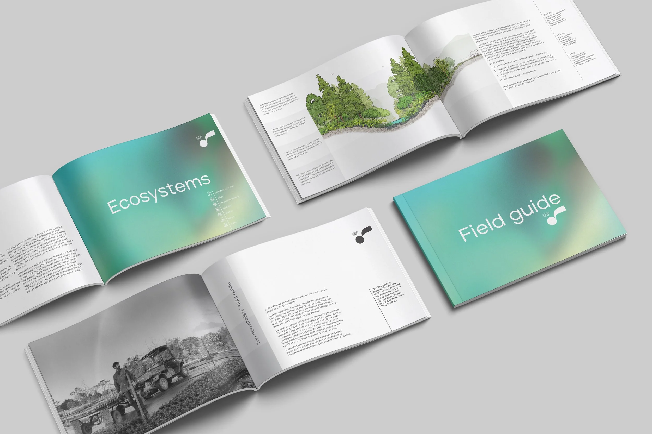 Field Guide Handbook  |  KauriPark
