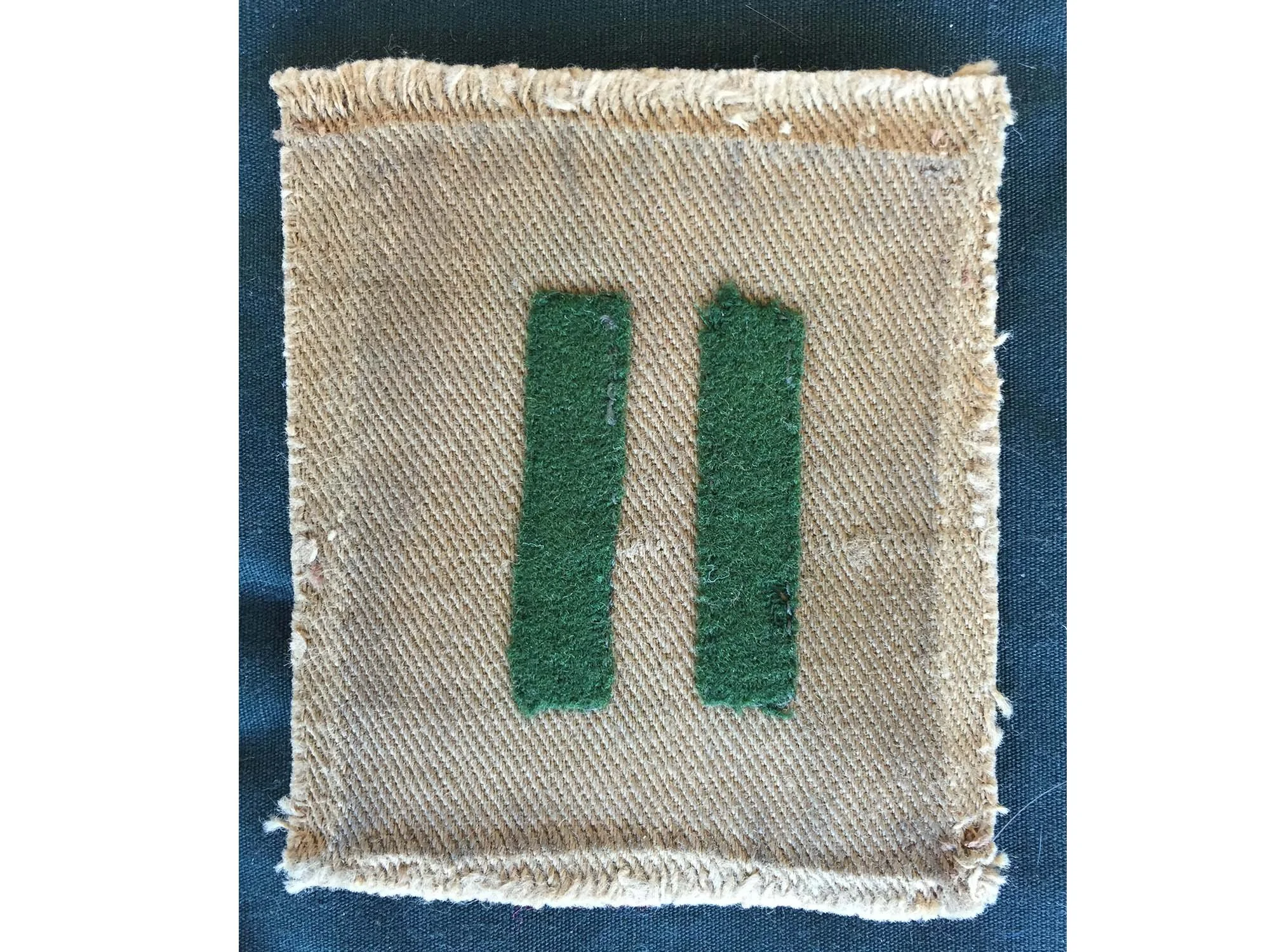 BSVC_Process  (2).JPG