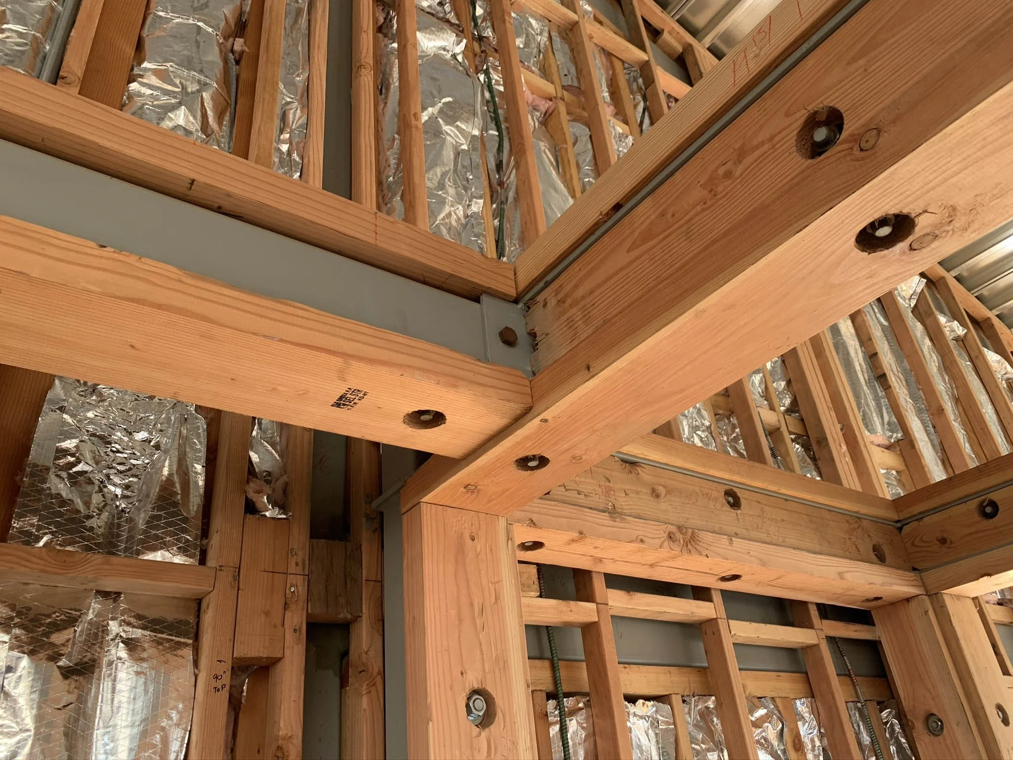 Field Station_Process (11).jpg