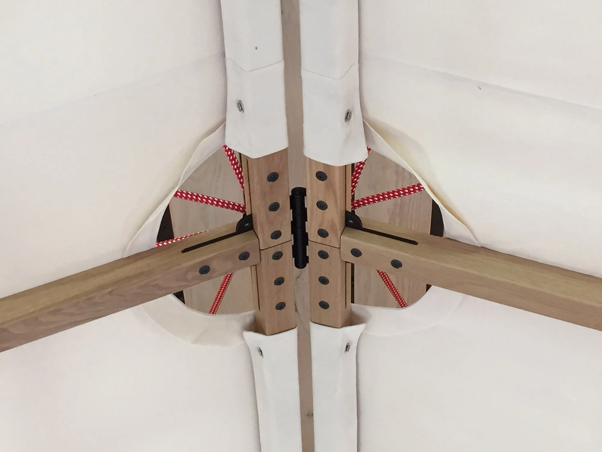 BSVC_Process  (8).JPG