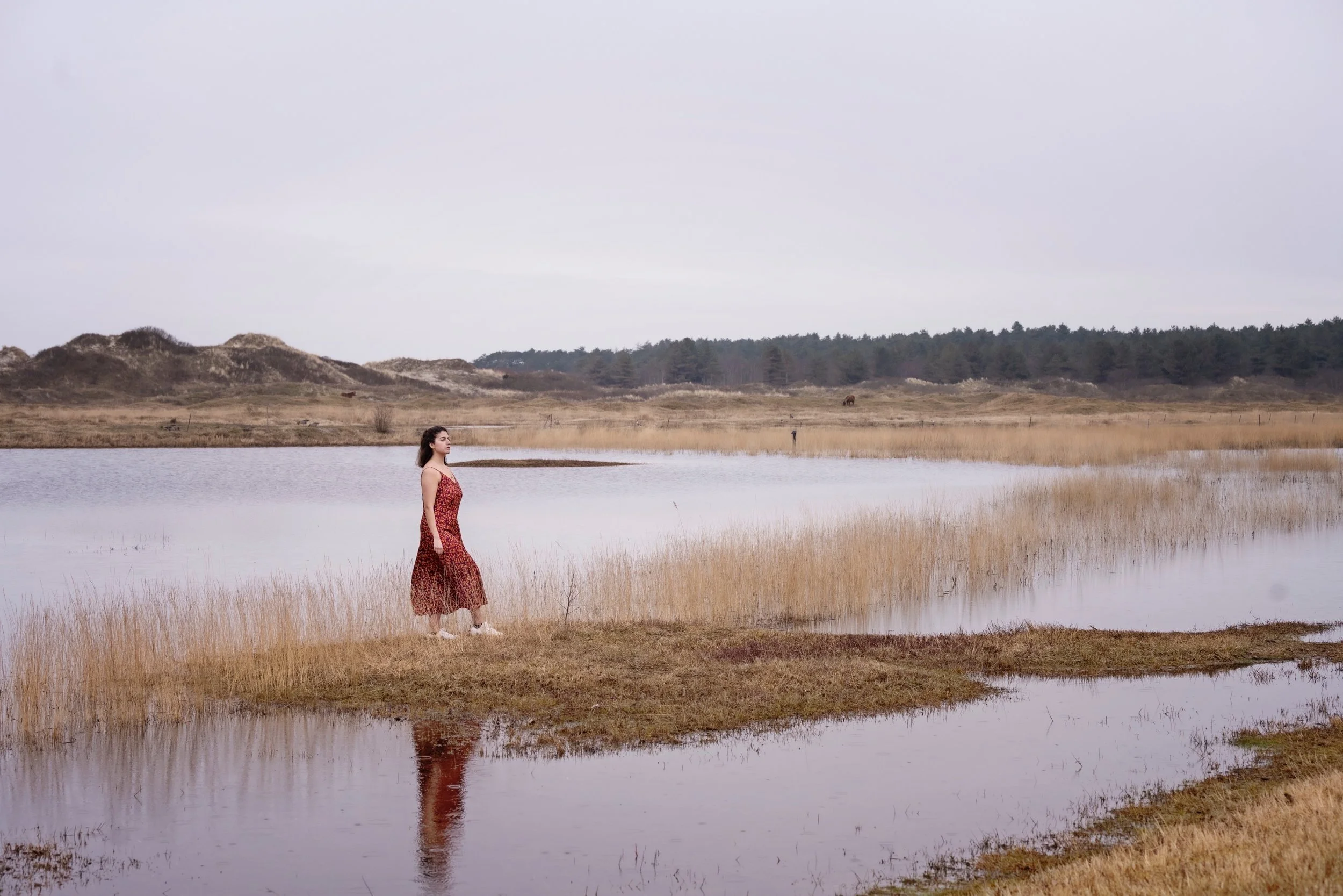 Lilla Akademien: Masterclass in chamber music