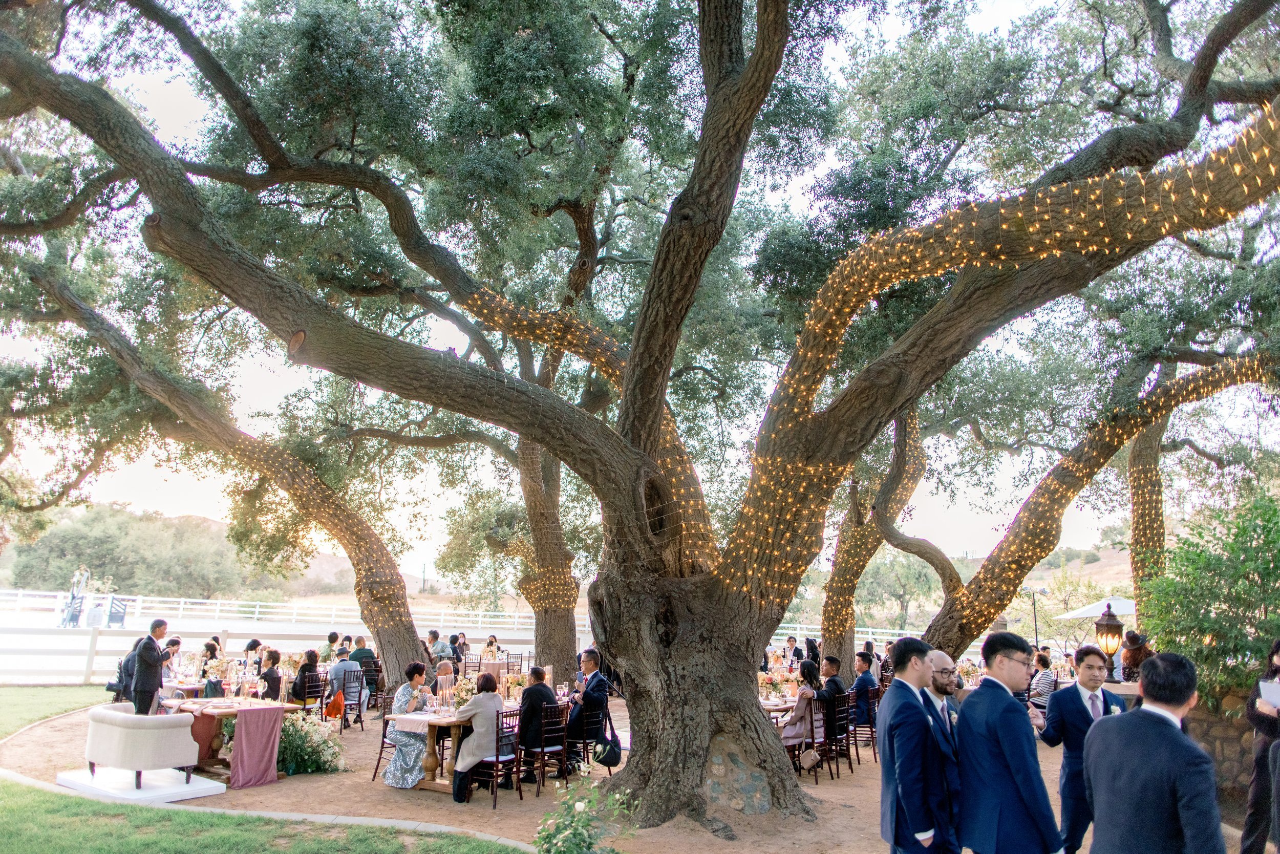 Giracci Vineyards Wedding - Tony & Susan