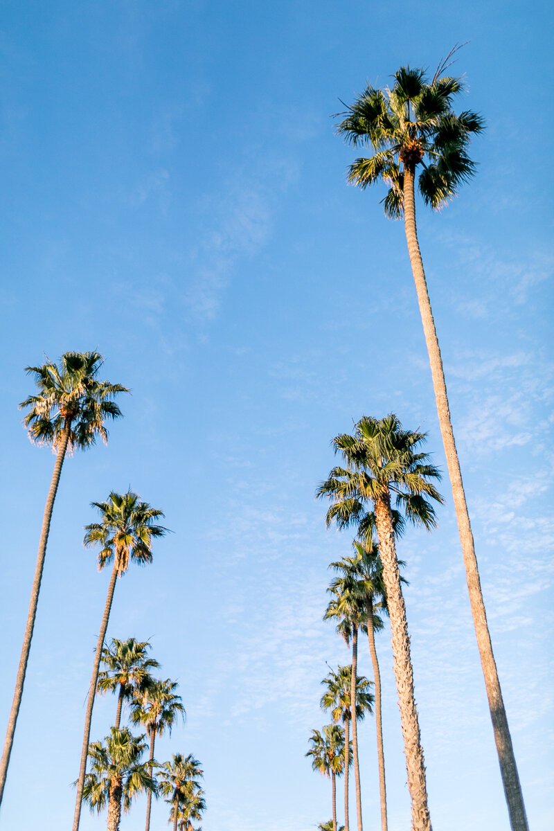 Corona del Mar Engagement Photos- Orange County Wedding Photogra