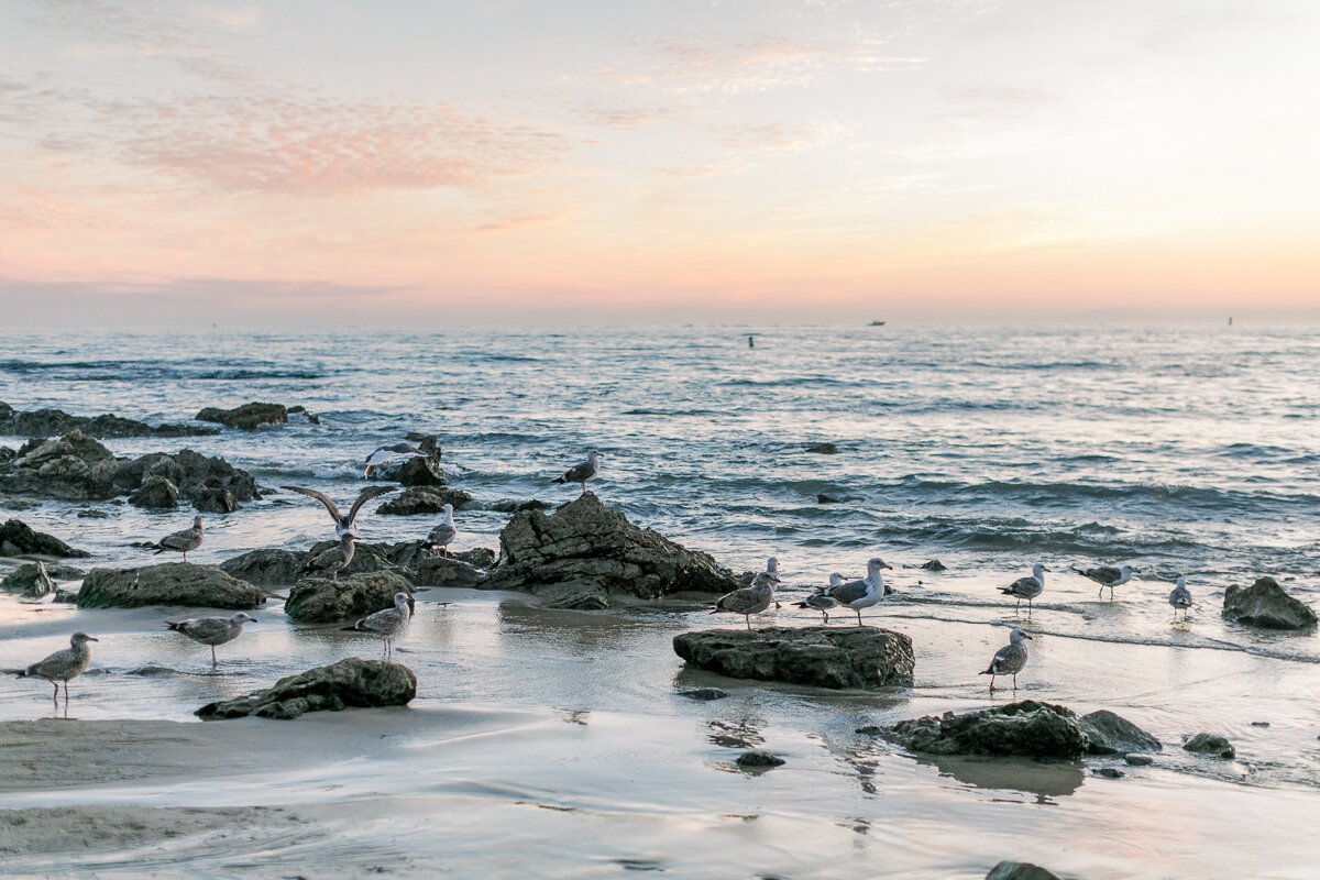 Corona del Mar Engagement Photos- Orange County Wedding Photogra