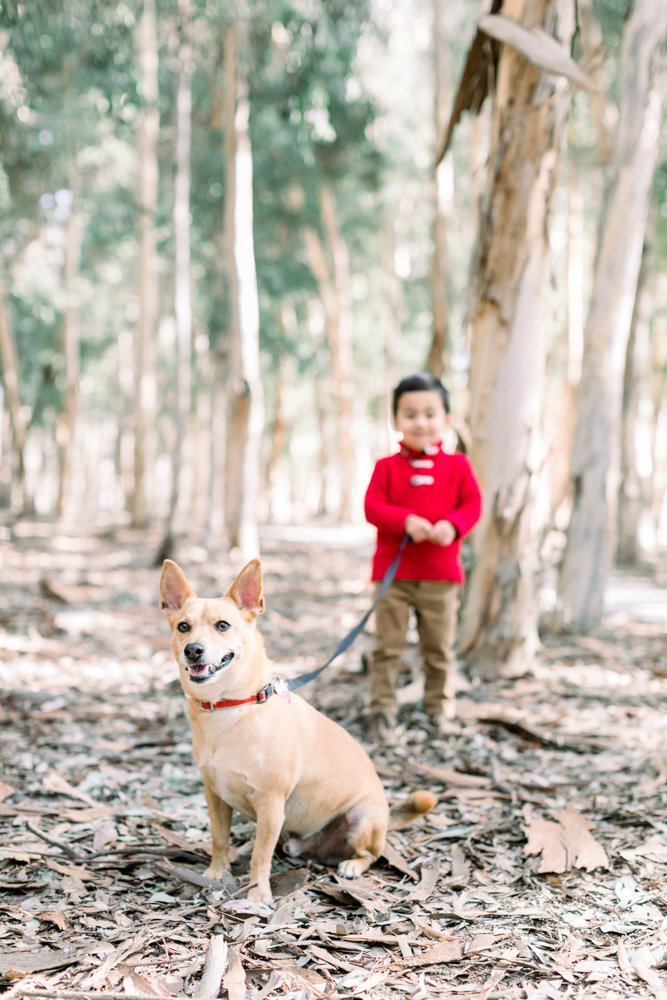 2019 Holiday Mini-Sessions- Orange County