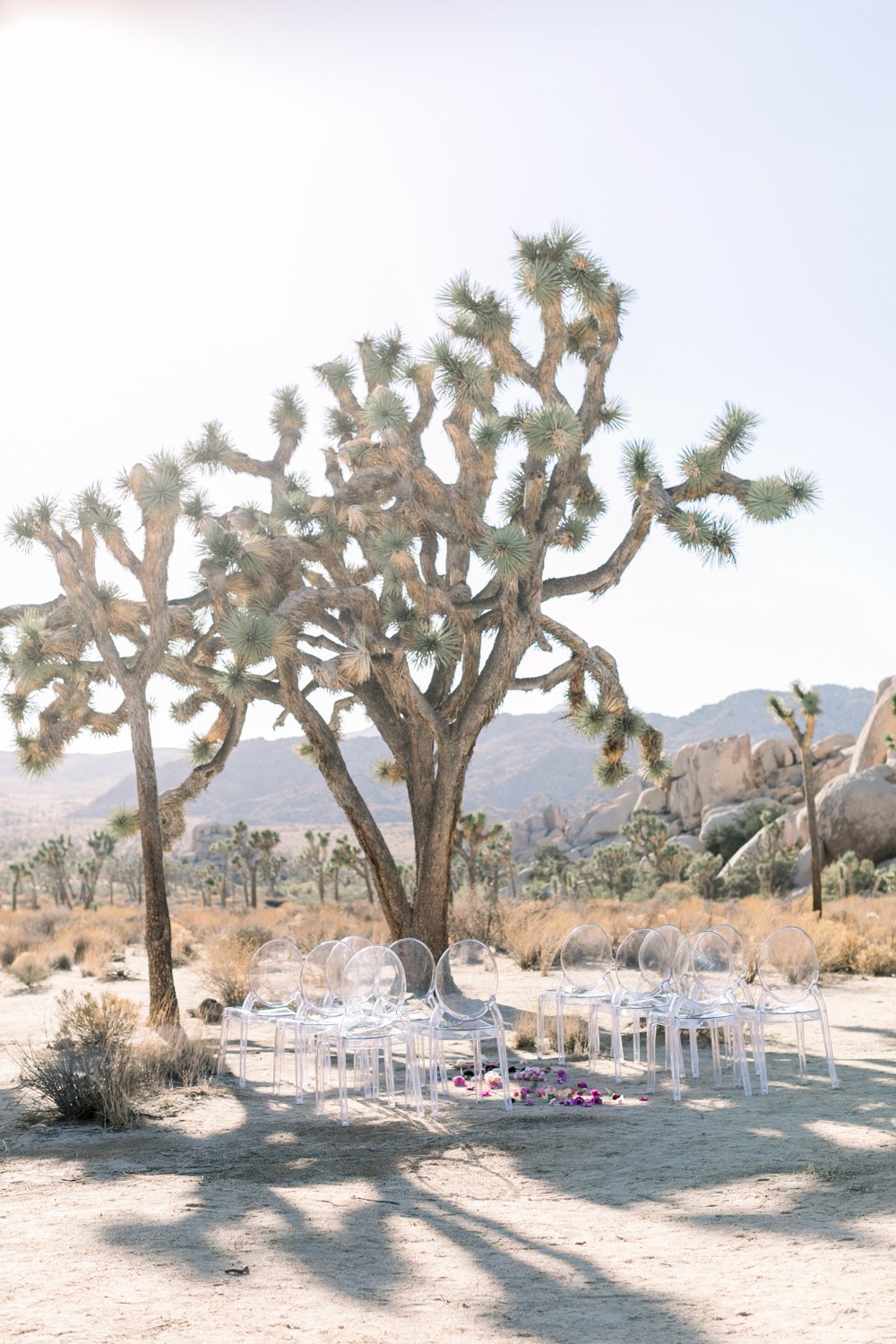 Joshua Tree Elopement- L'Horizon Palm Springs Wedding