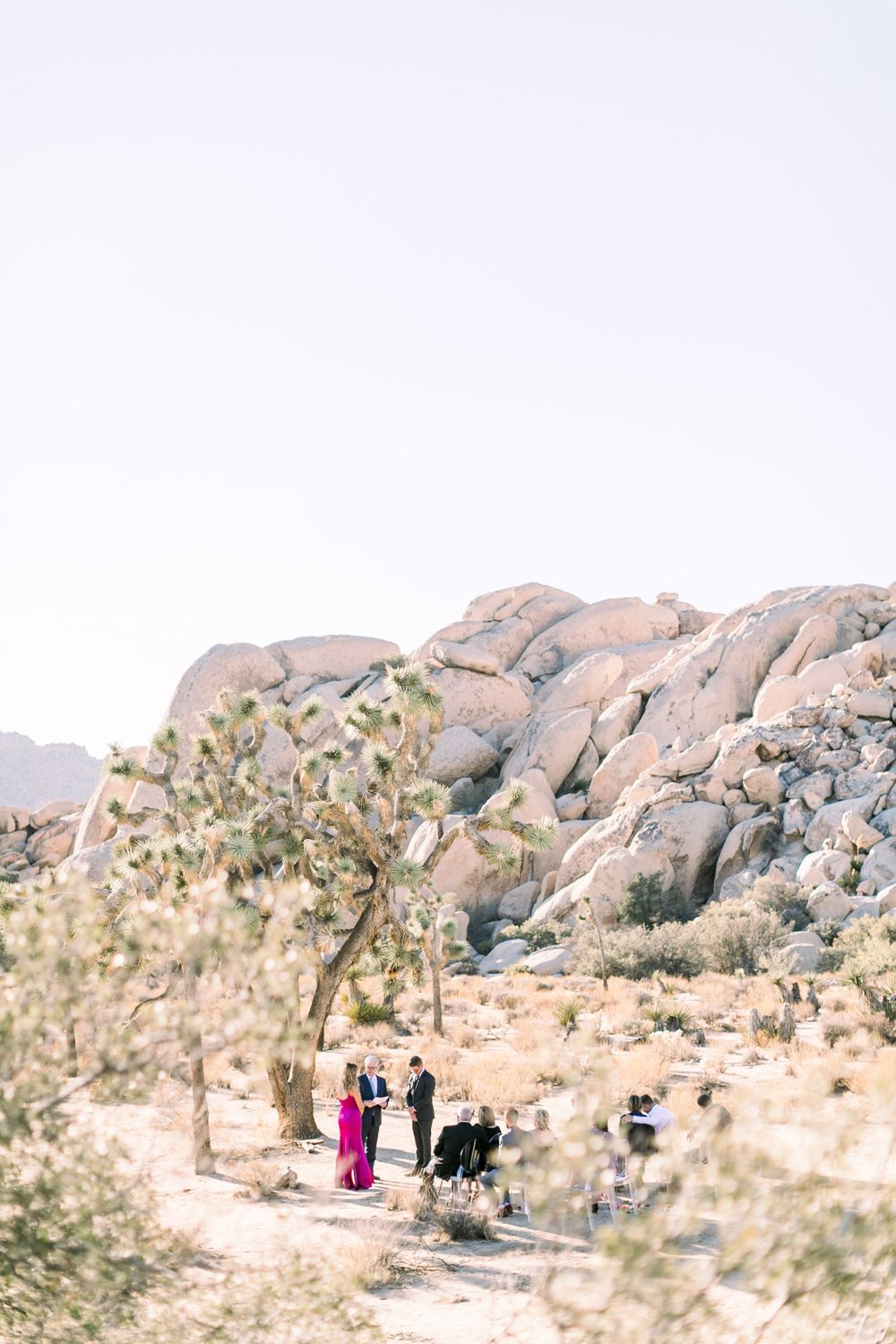 Joshua Tree Elopement- L'Horizon Palm Springs Wedding