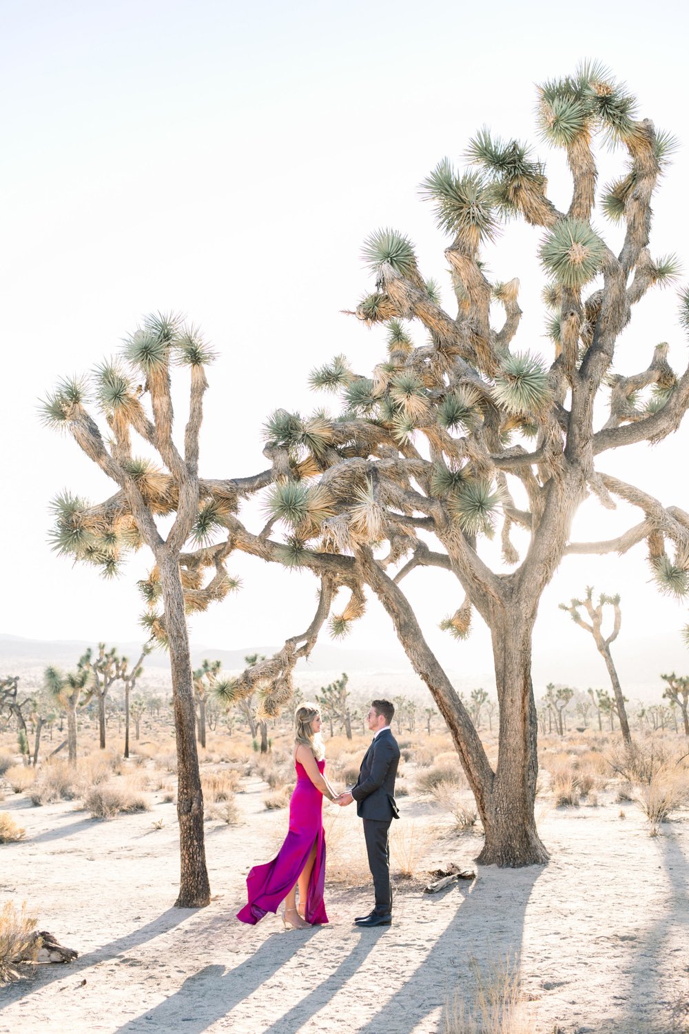 Joshua Tree Elopement- L'Horizon Palm Springs Wedding