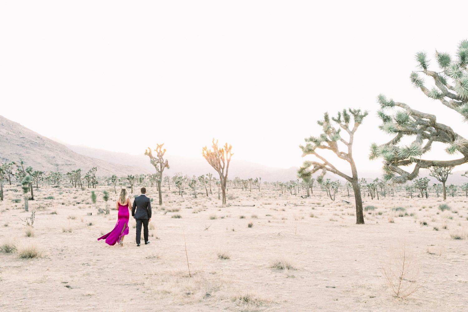 Joshua Tree Elopement- L'Horizon Palm Springs Wedding