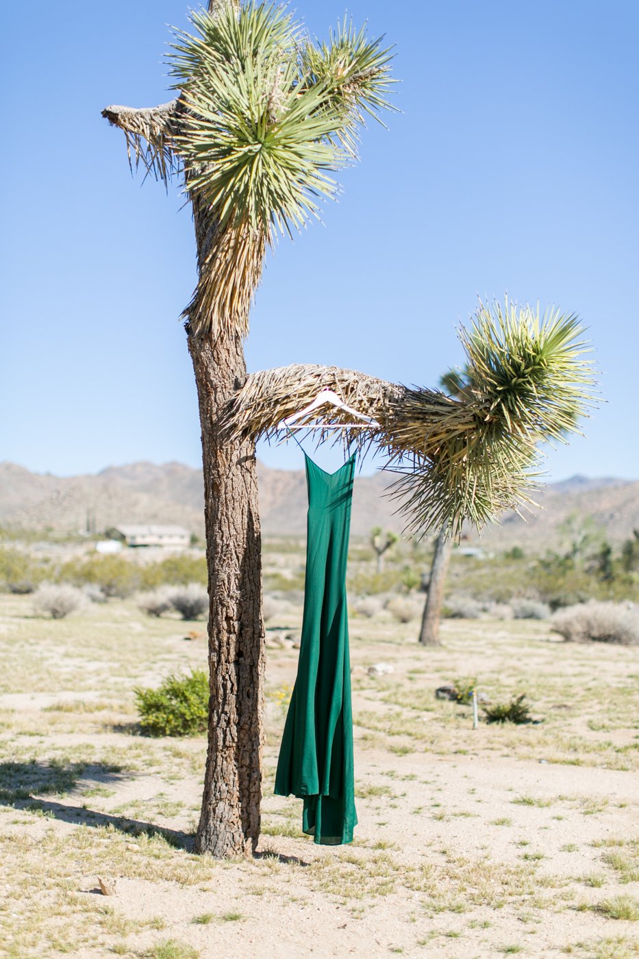 Joshua Tree- Elopement Photographer- Palm Springs- wedding photography- Lovisa Photo