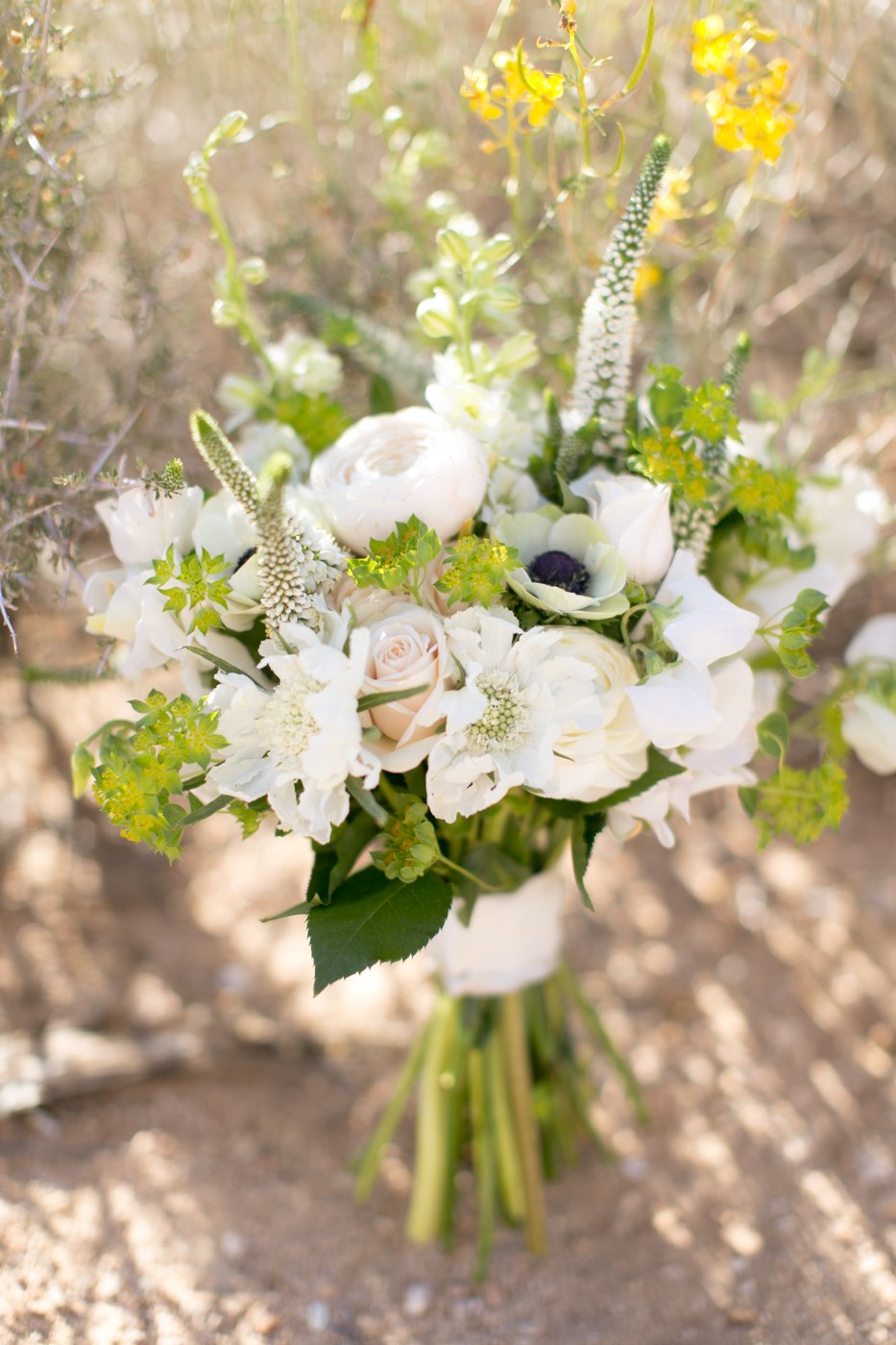 Joshua Tree- Elopement Photographer- Palm Springs- wedding photography- Lovisa Photo