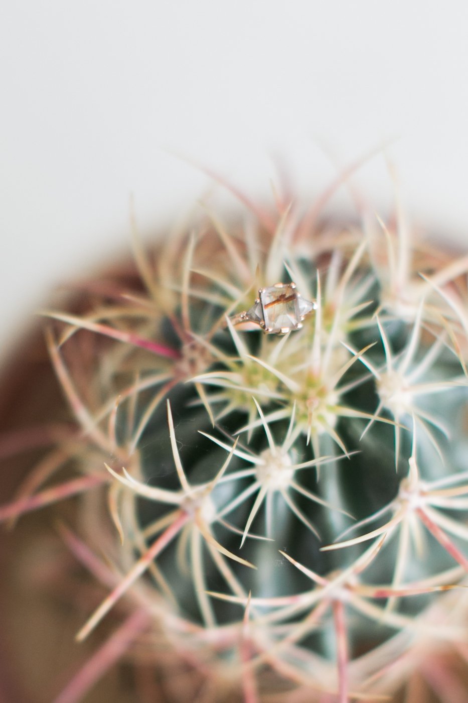 Joshua Tree- Elopement Photographer- Palm Springs- wedding photography- Lovisa Photo