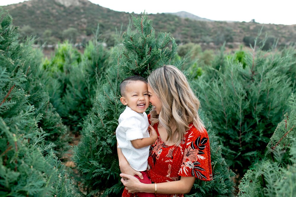 Holiday Mini Sessions- Orange County (Copy)