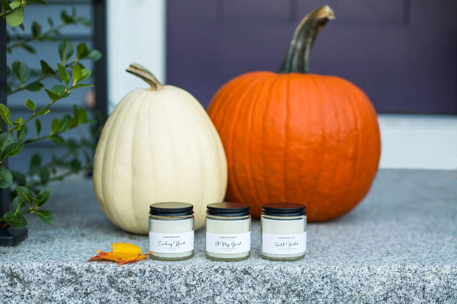 Fall Trio Pumpkins.jpg