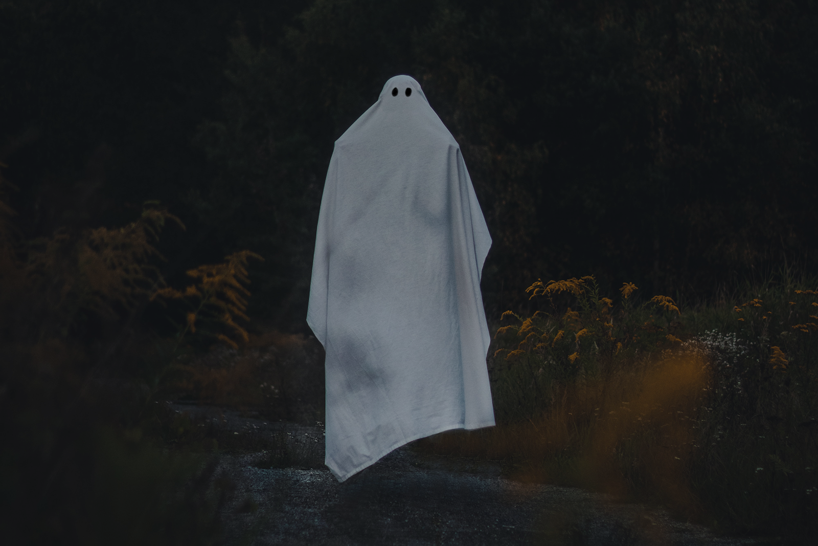 Decoding Apparitions: The Psychology and Science Behind Why People See Ghosts