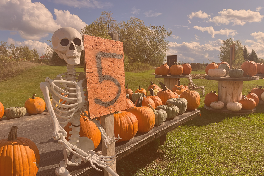 2024 Halloween Season Bucket List Spooky Little Halloween