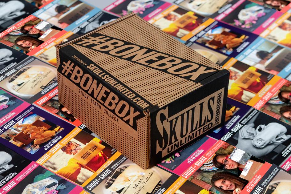 Subscription Boxes for Halloween Lovers — Spooky Little Halloween