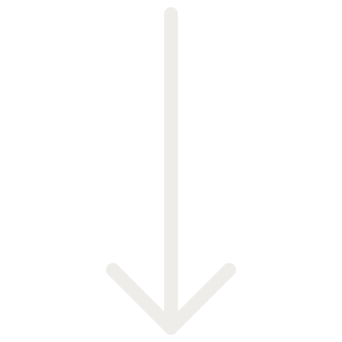 Q& Brand Studio | Icon Arrow