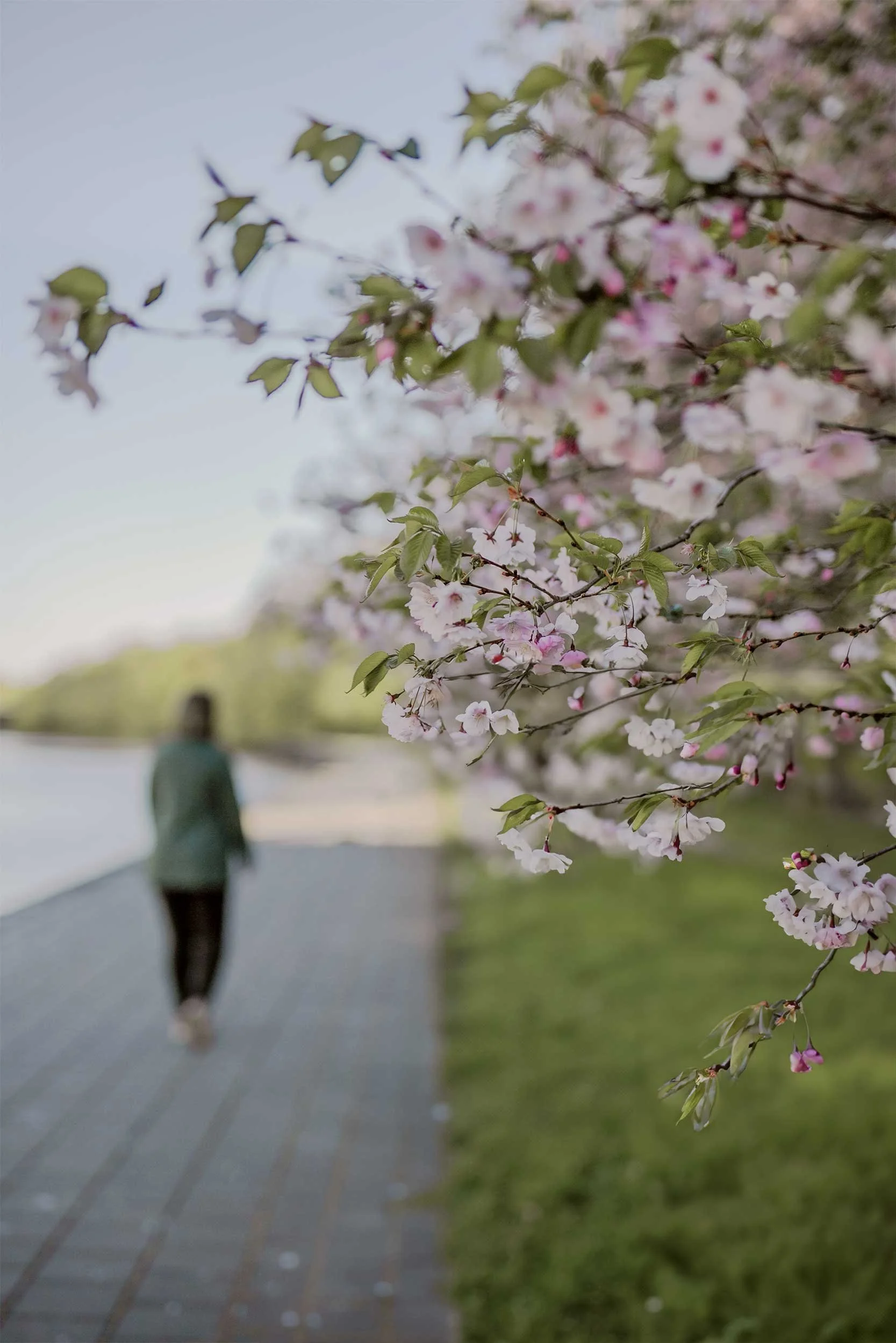 Brand Designer by the River of Turku | Q& Brand Studio