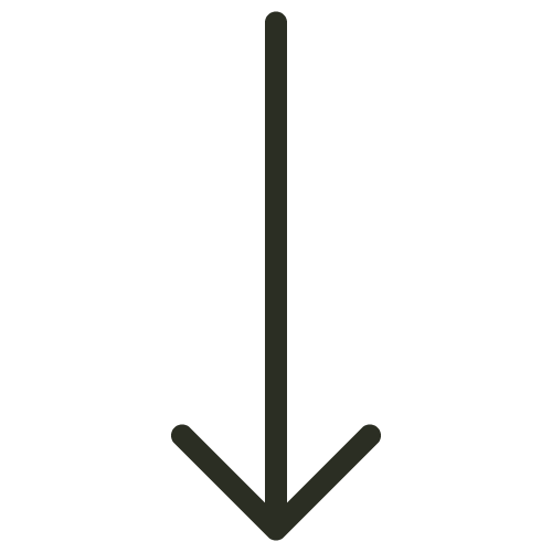 Q& Brand Studio | Icon Arrow