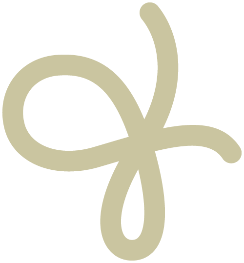 Q& Brand Studio | Brand, Packaging & Graphic Design