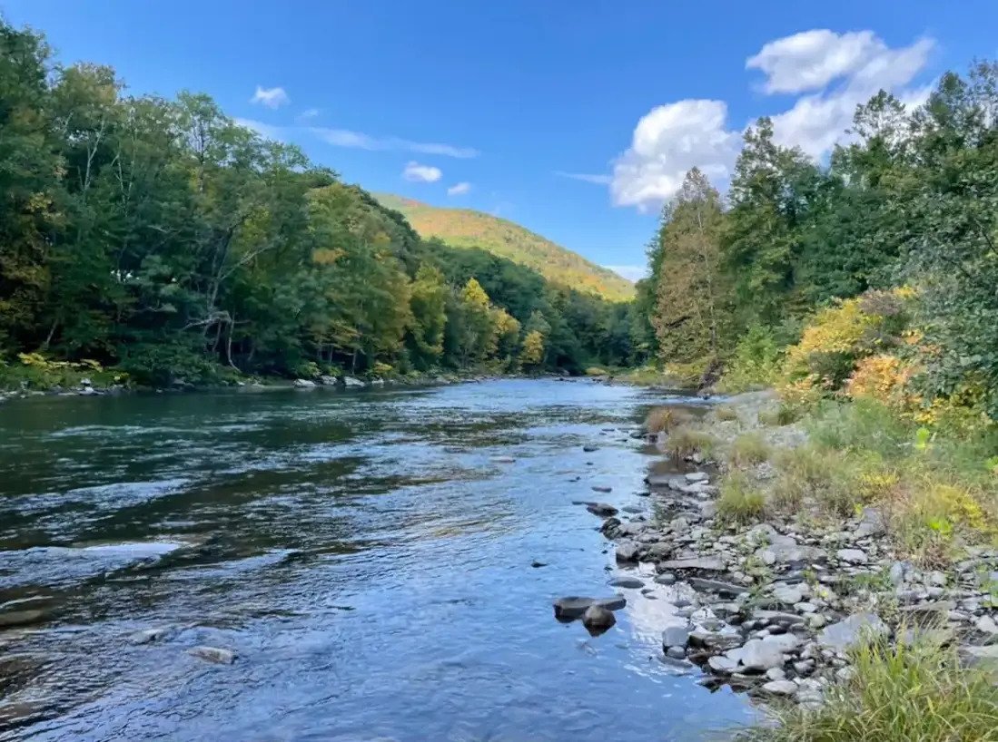 A scenic view of a flowing river surrounded by green trees and a mountainous background under a partly cloudy sky.